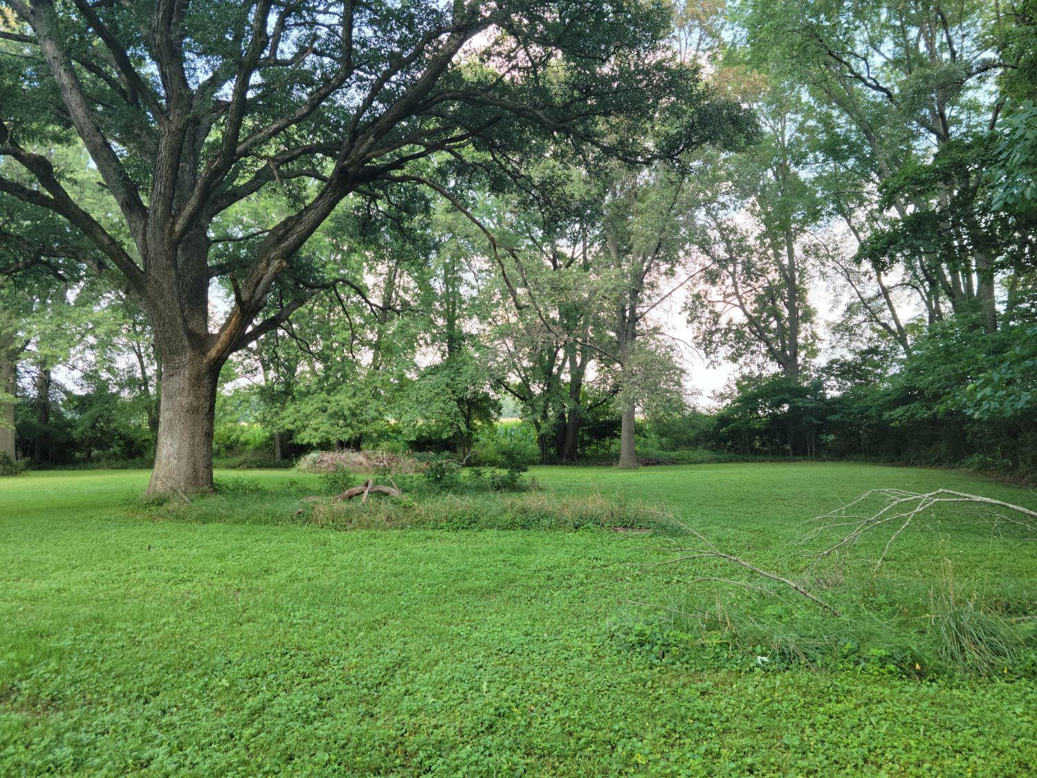 6179 W 400 S, Morocco, IN 47963; Image #18