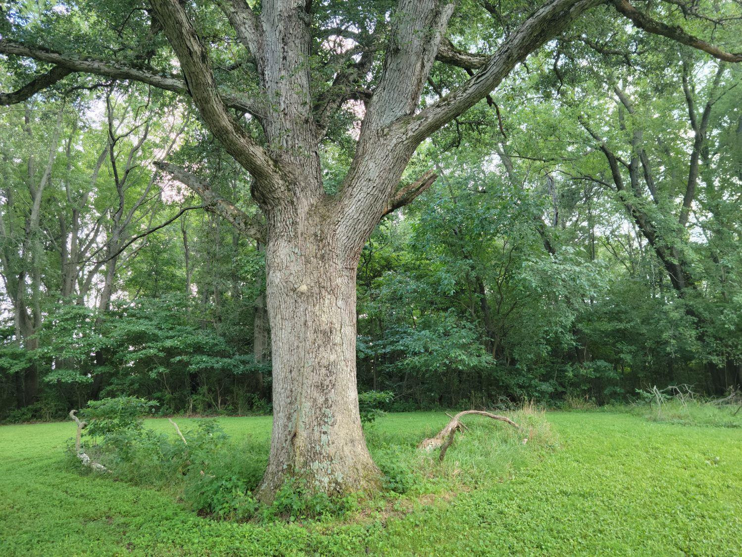 6179 W 400 S, Morocco, IN 47963; Image #19