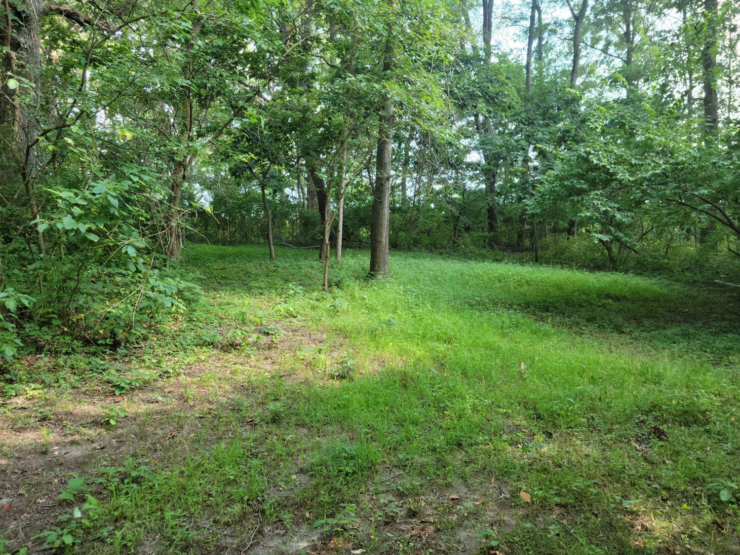 6179 W 400 S, Morocco, IN 47963; Image #30