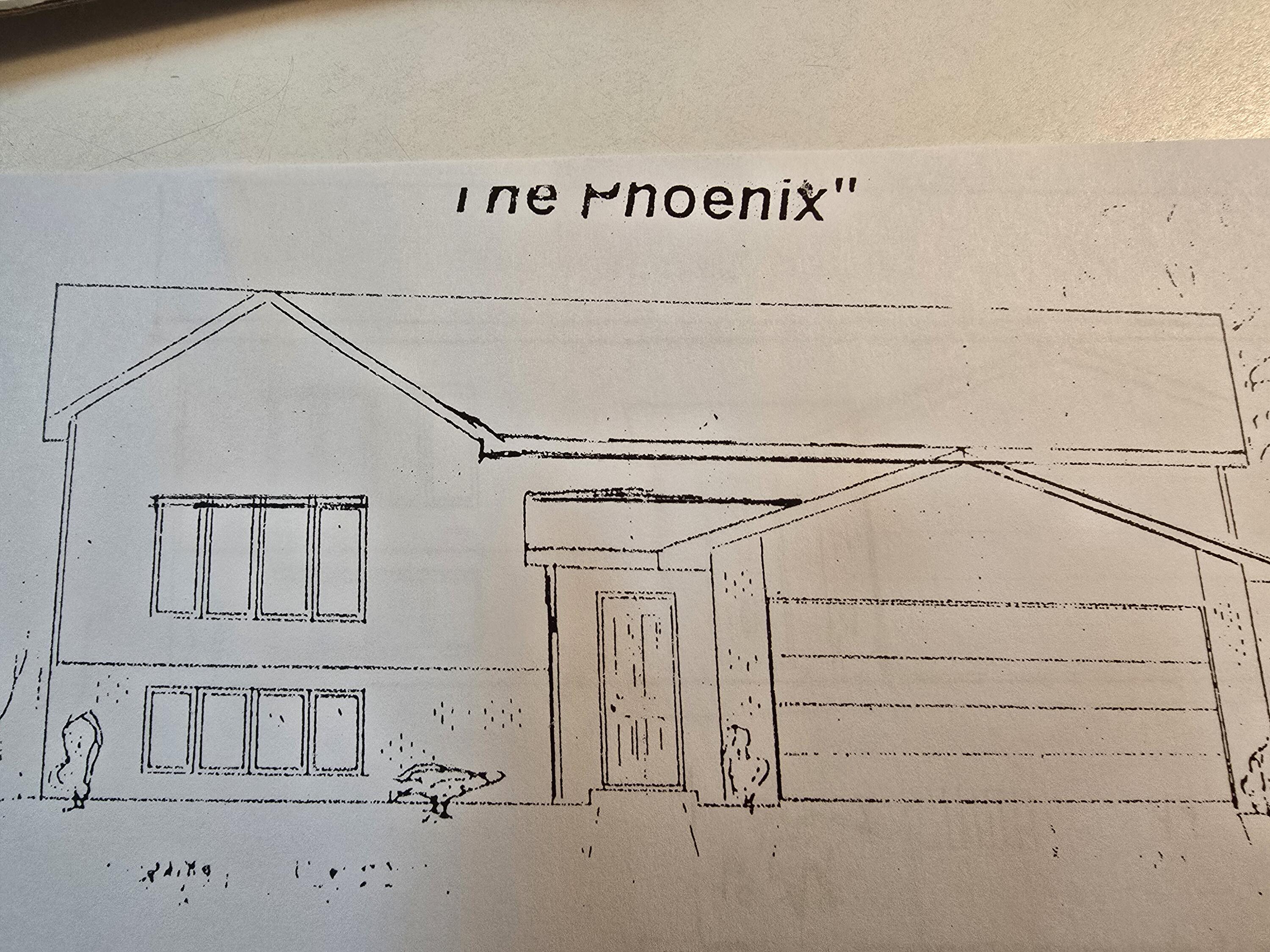 Next Image