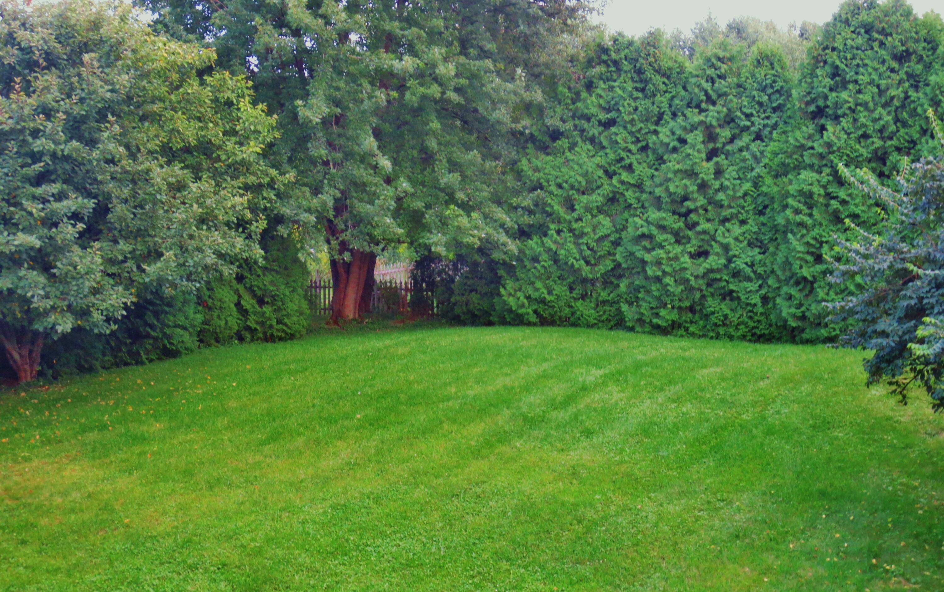 643 N 50 W, Valparaiso, IN 46385; Image #10