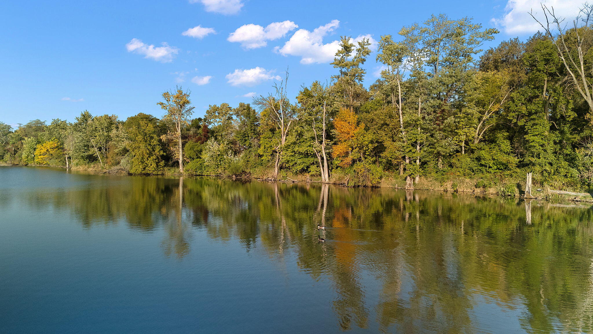 1705 E Lake Kenoyer Road, Brook, IN 47922; Image #2