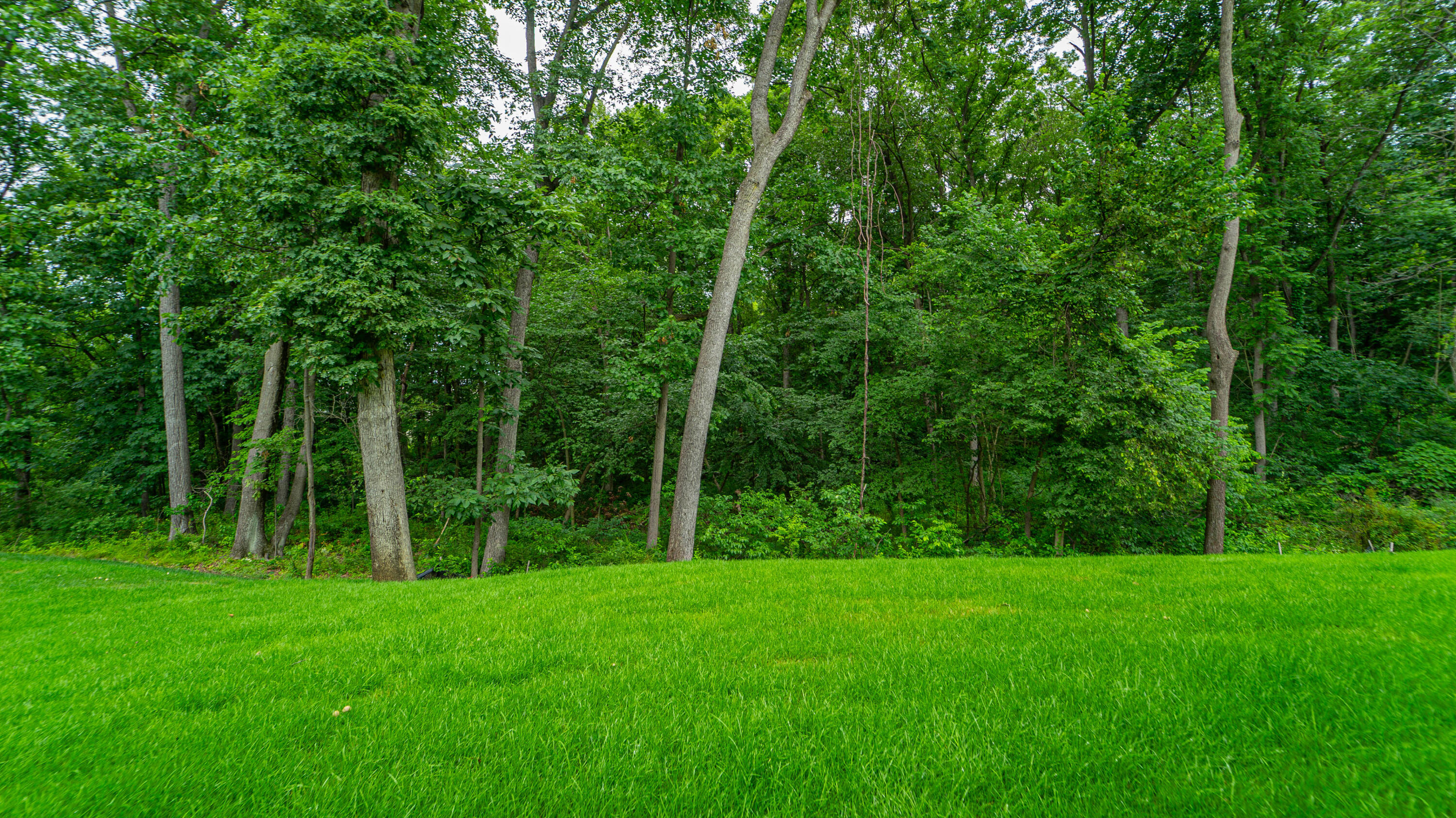 161 N Winterberry Drive, Valparaiso, IN 46385; Image #70