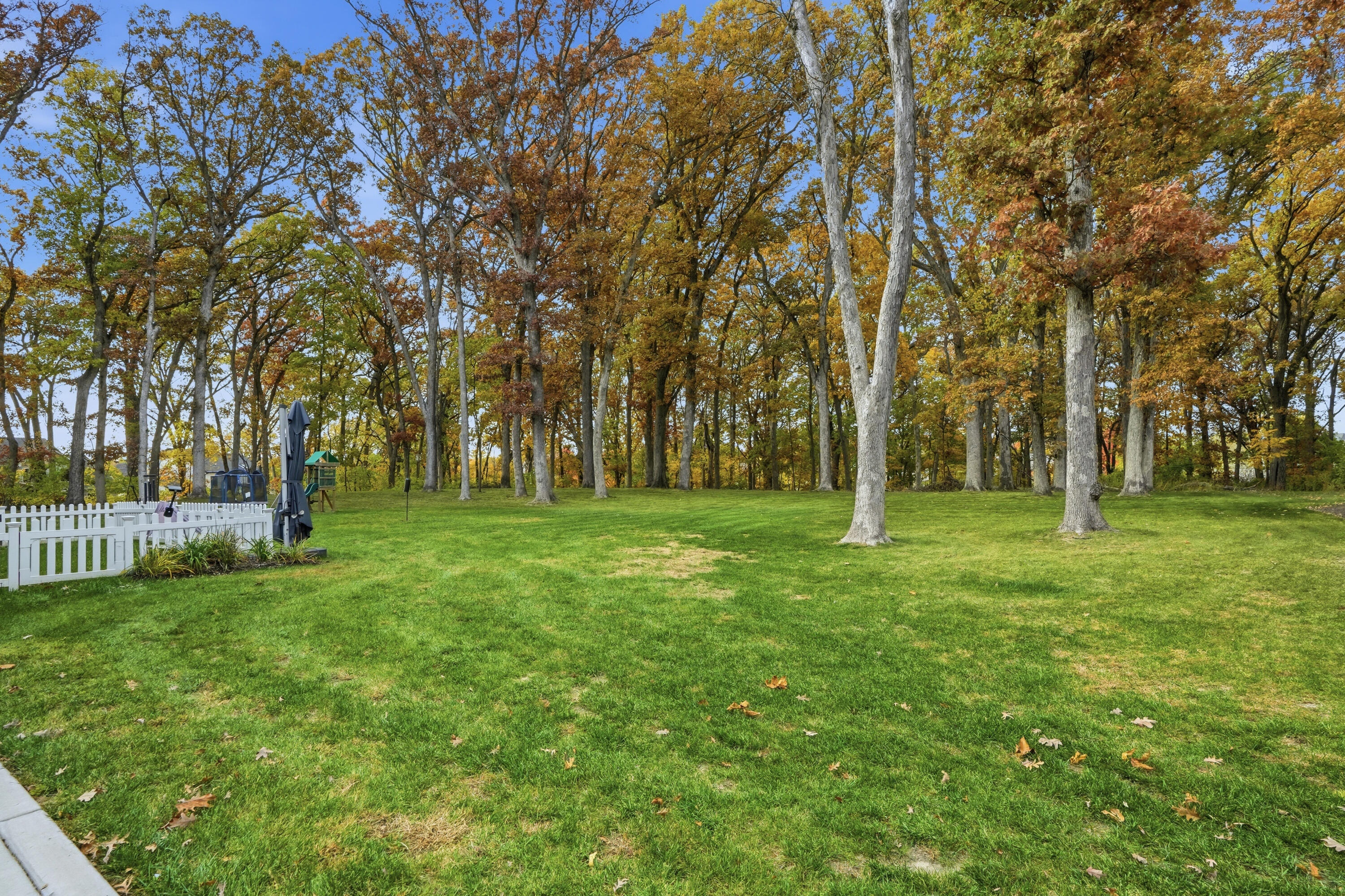 804 Shannon Drive, Crown Point, IN 46307; Image #63