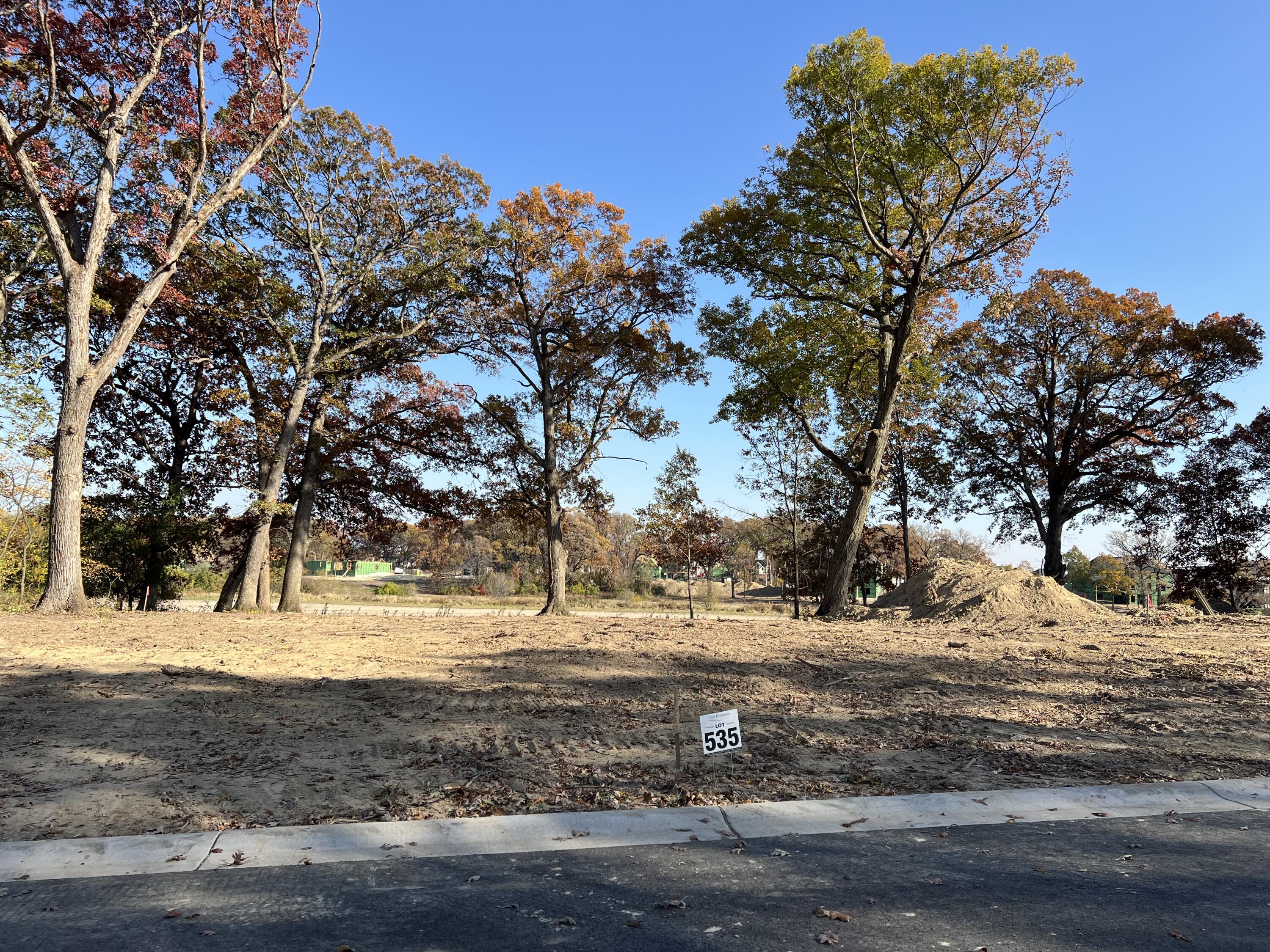 9635 Switch Grass Lane, St. John, IN 46373; Image #3