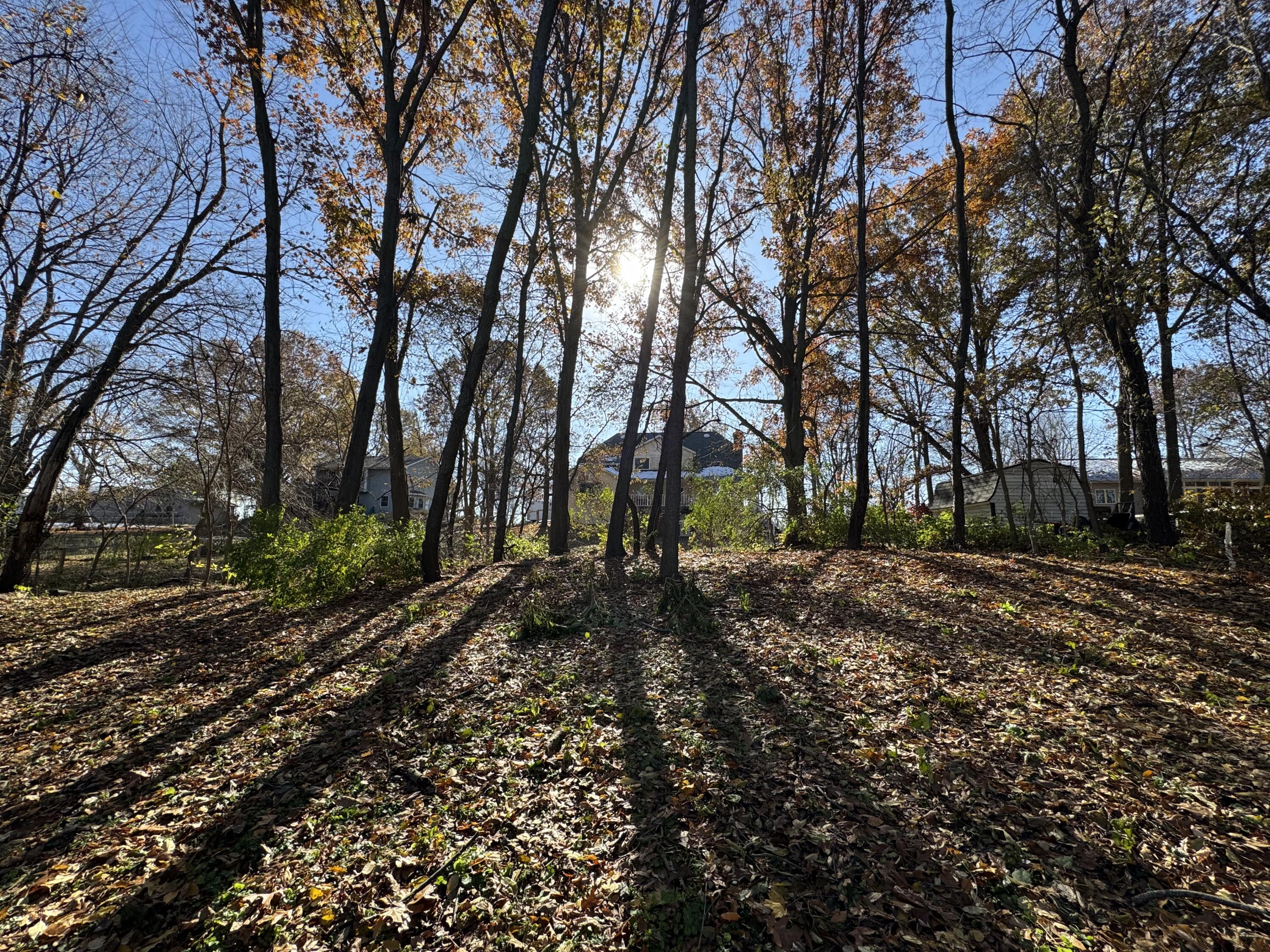 33791 Early Road, New Carlisle, IN 46552; Image #53