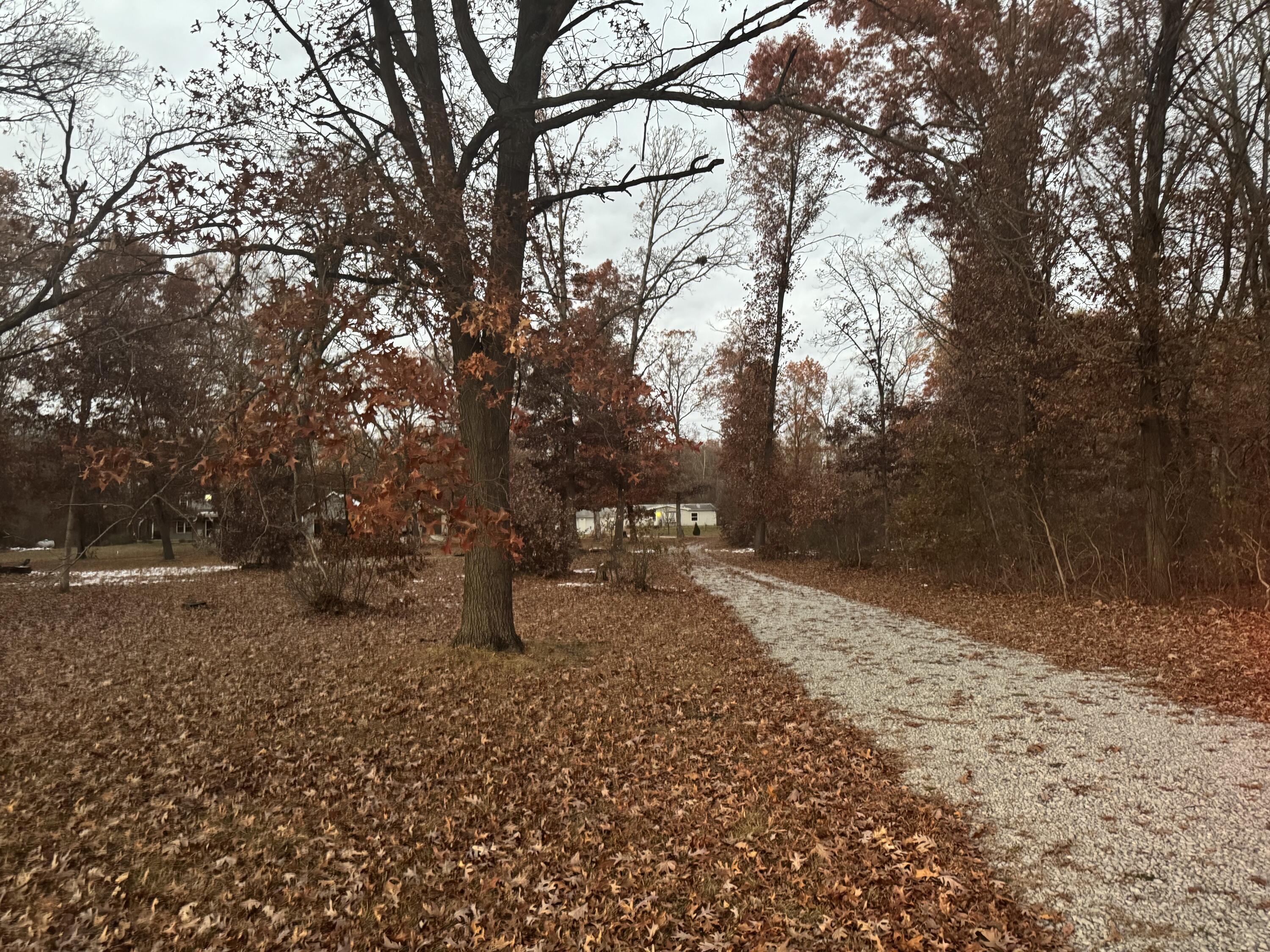 1298 E State Road 10, Wheatfield, IN 46392; Image #4