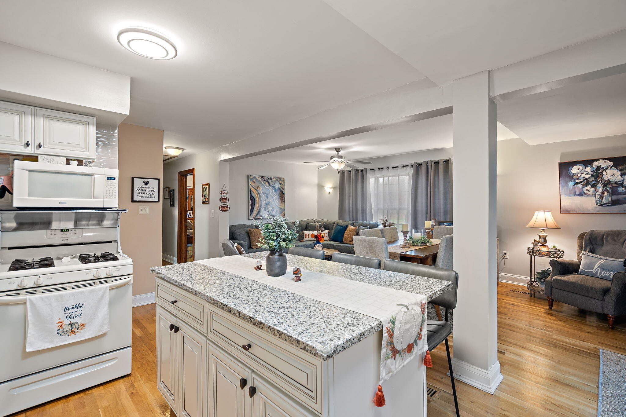 706 N Colfax Street, Griffith, IN 46319; Image #5