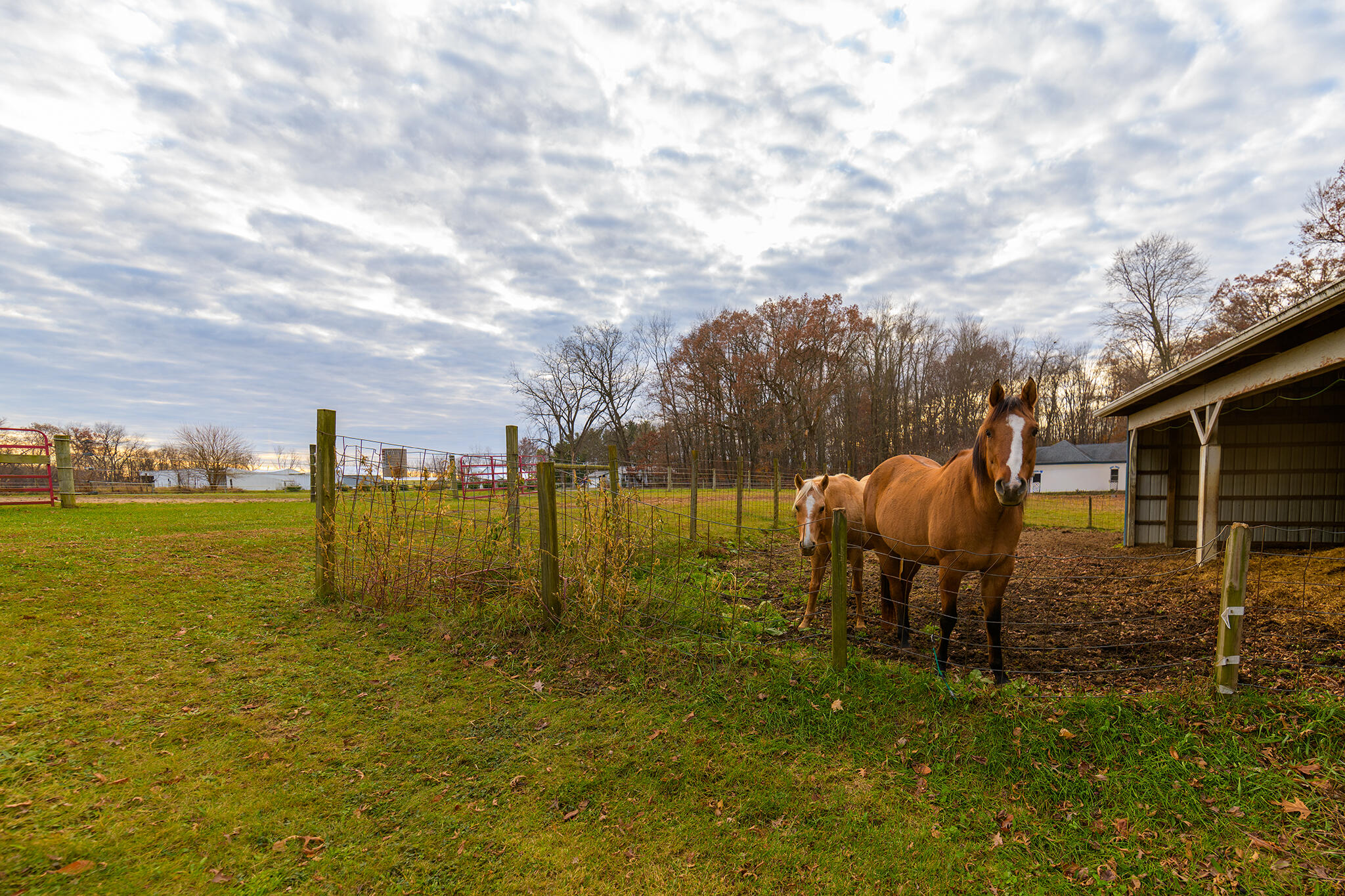 9301 E Division Road, Mill Creek, IN 46365; Image #37