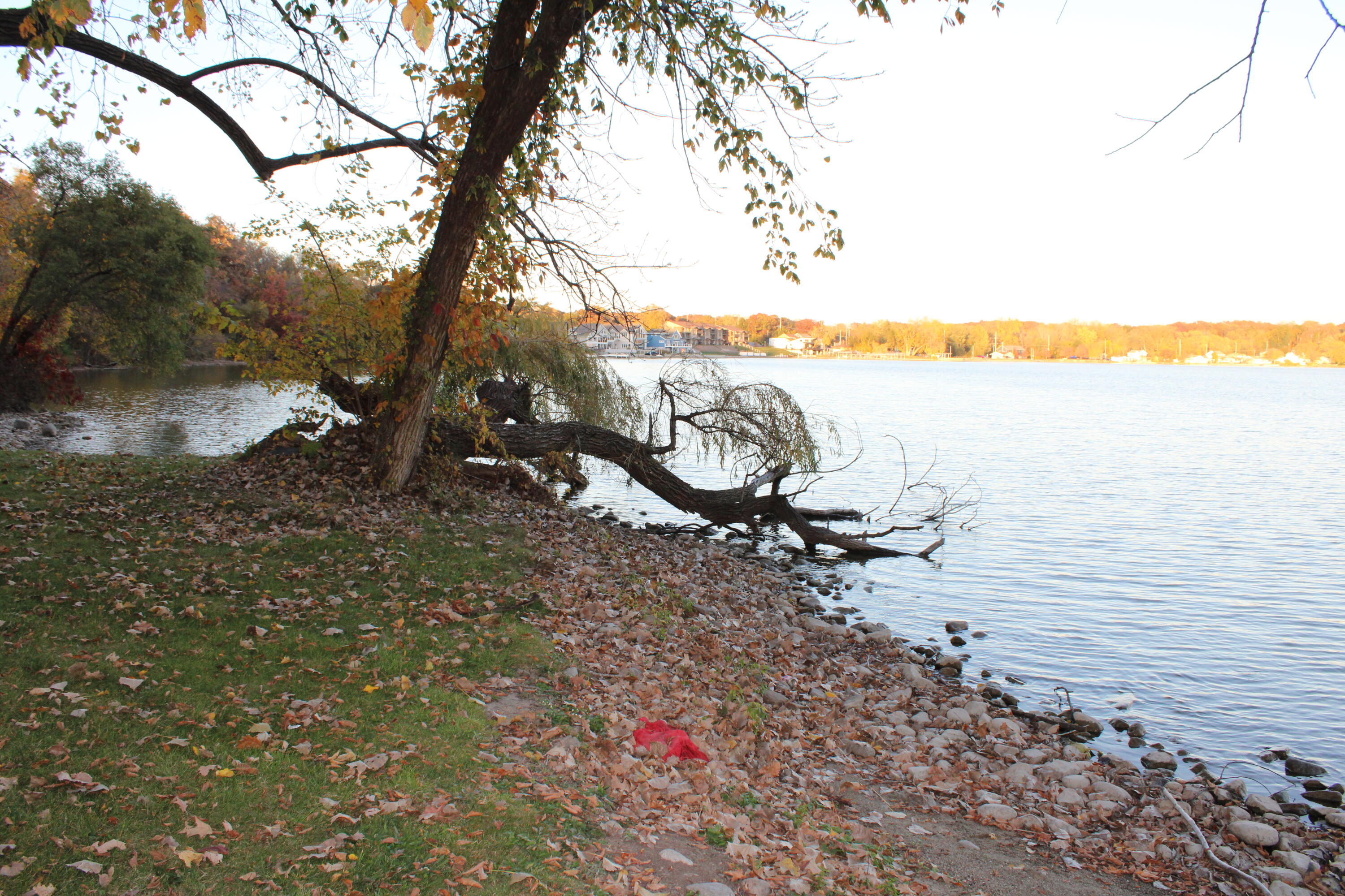 13043 Polk Street, Cedar Lake, IN 46303; Image #17