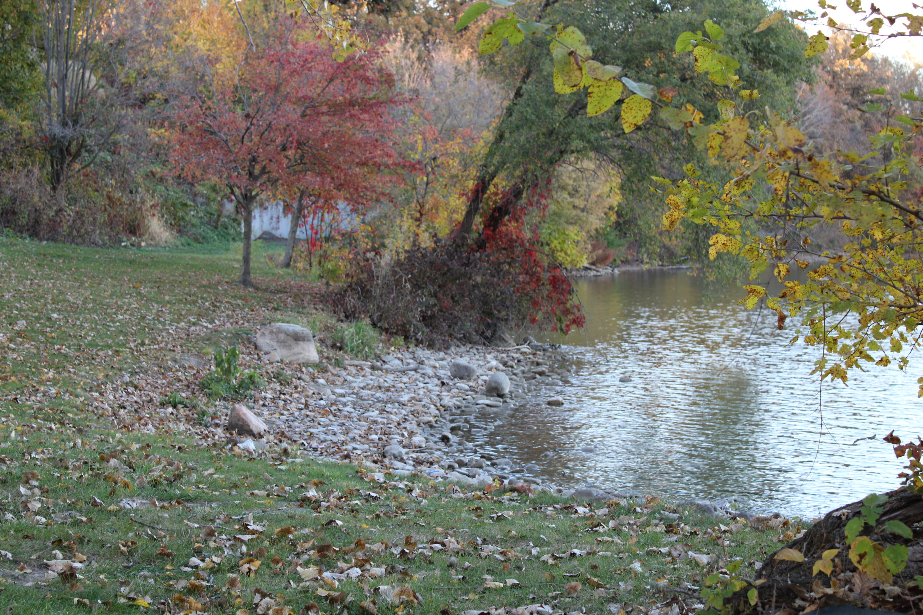 13043 Polk Street, Cedar Lake, IN 46303; Image #18
