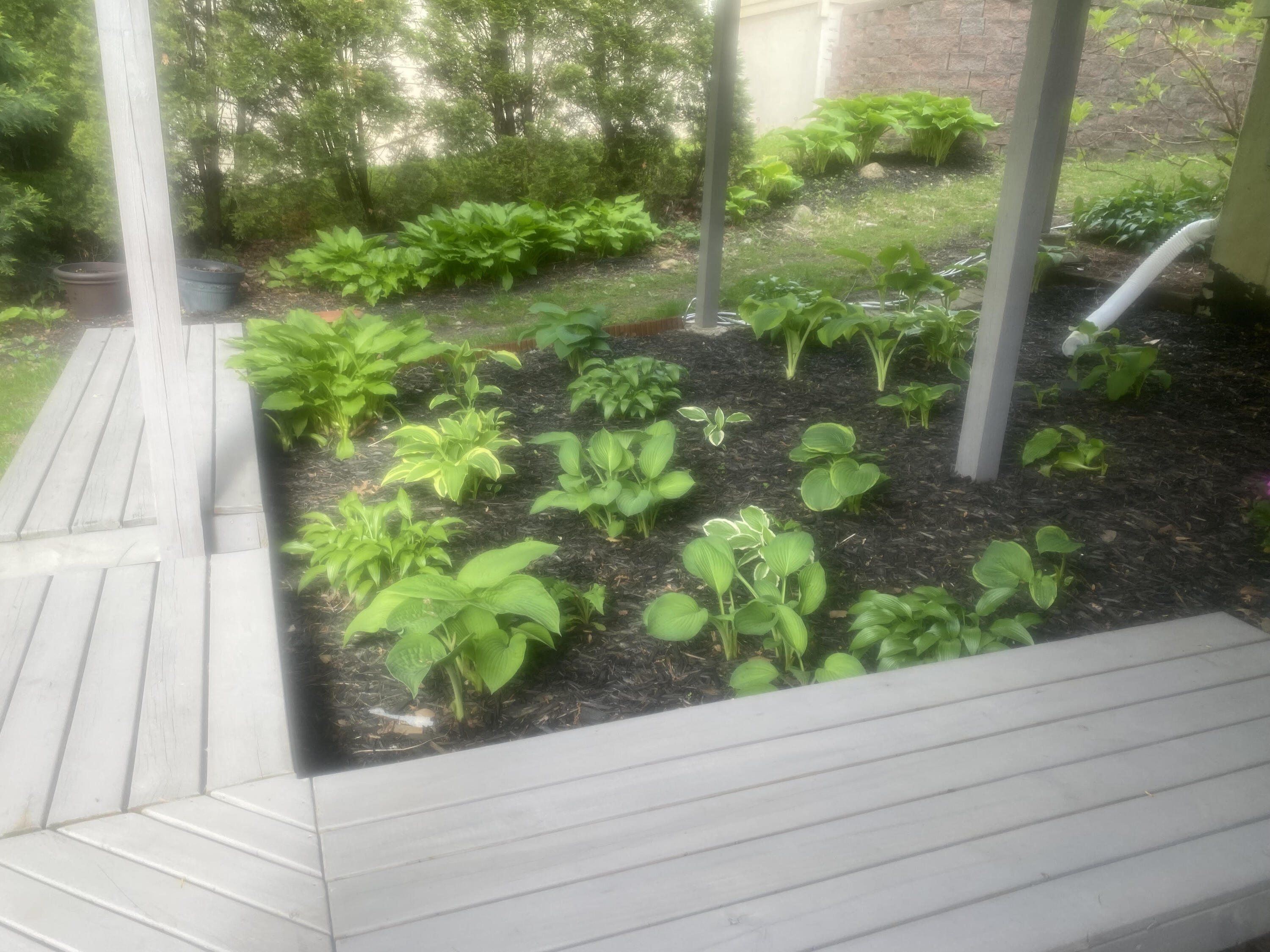 8508 Pine Avenue, Gary, IN 46403; Image #52