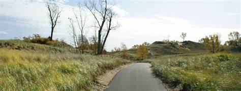 8508 Pine Avenue, Gary, IN 46403; Image #64