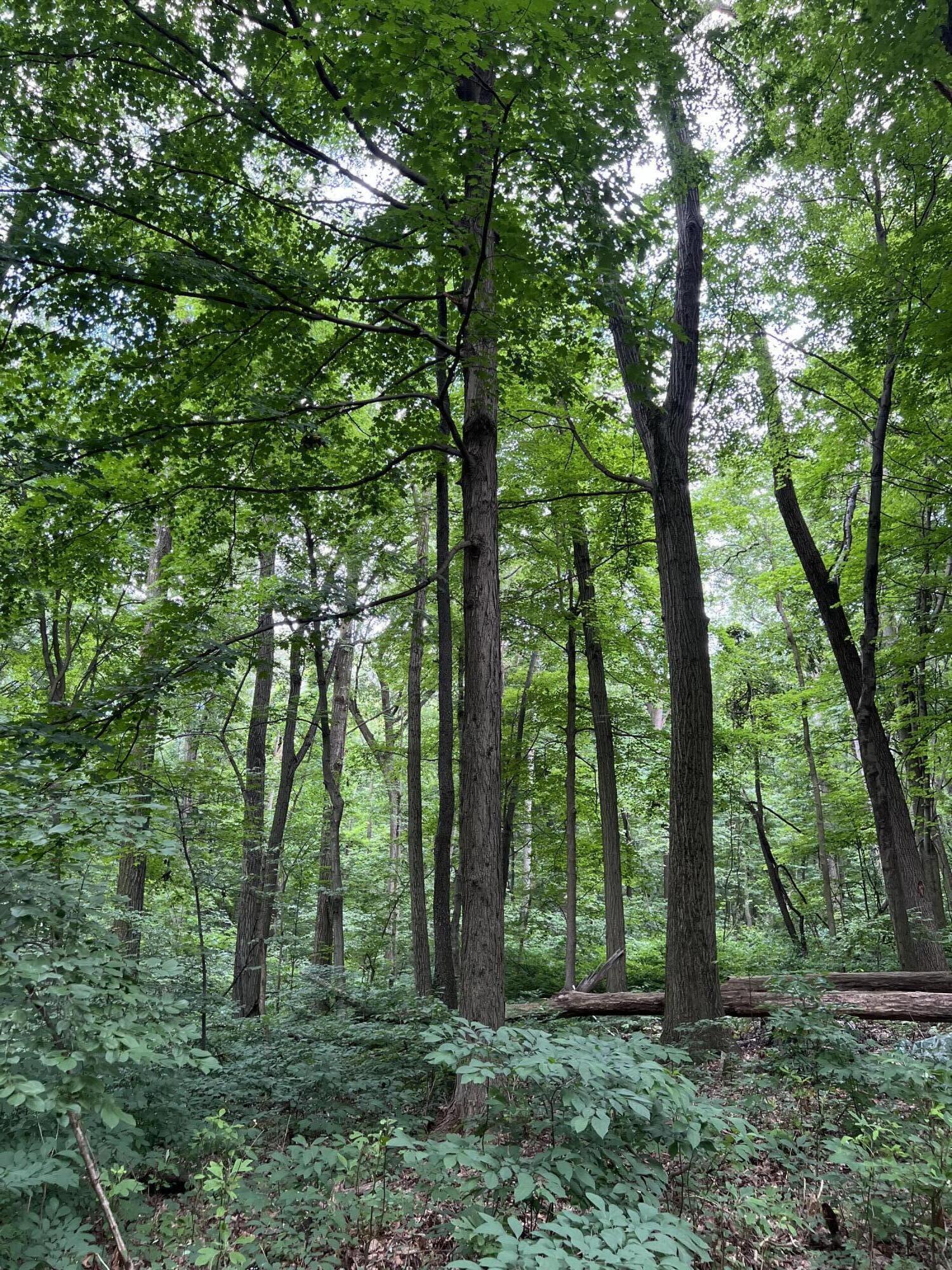 370 E Us Highway 6, Valparaiso, IN 46383; Image #14