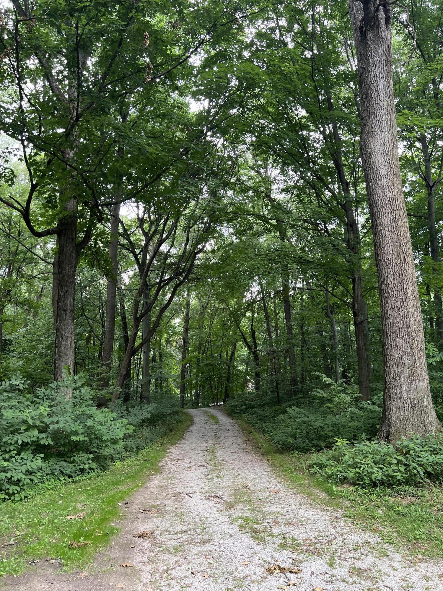 370 E Us Highway 6, Valparaiso, IN 46383; Image #15
