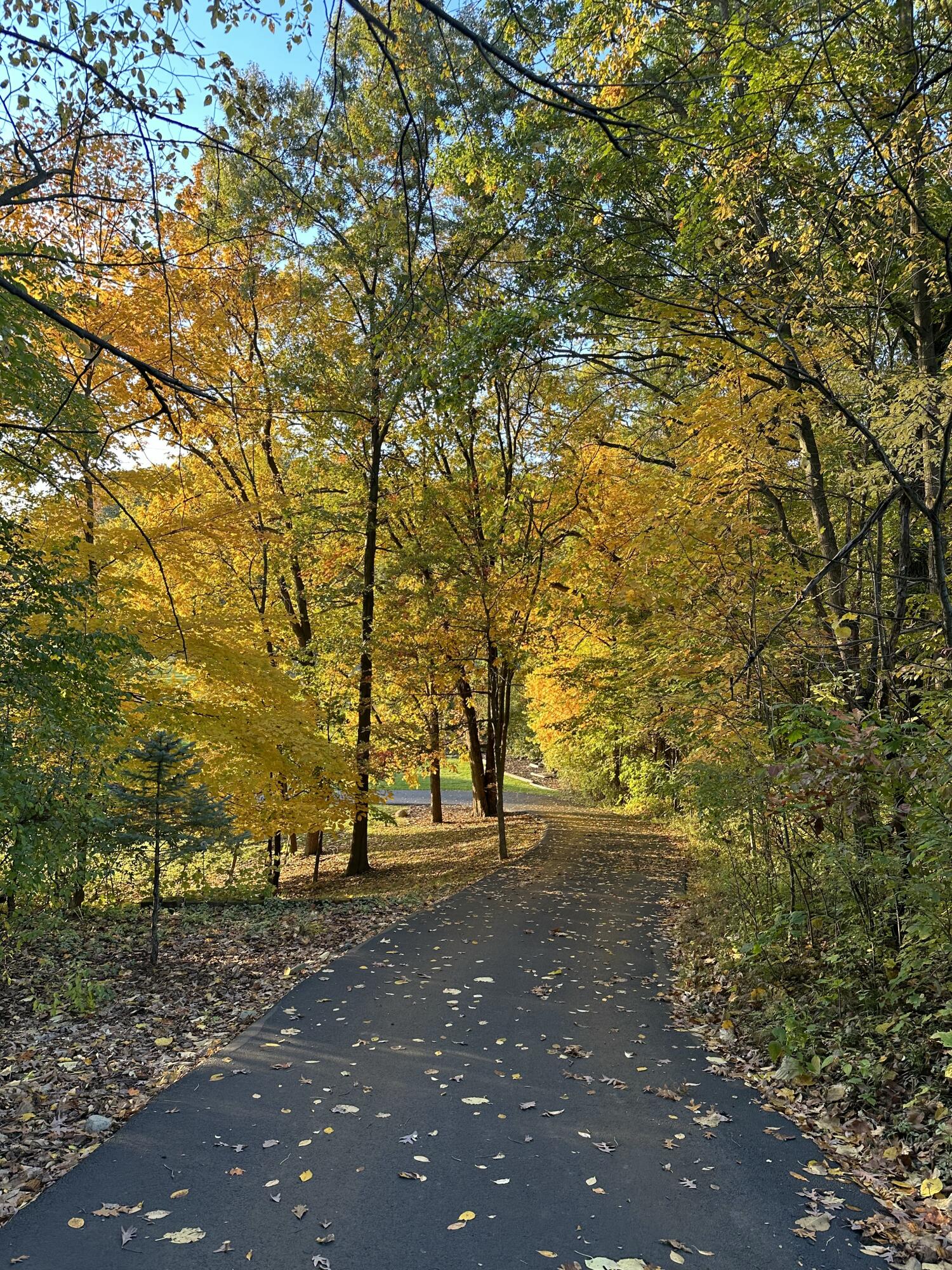 273 Bridlewood Lane, Valparaiso, IN 46385; Image #88