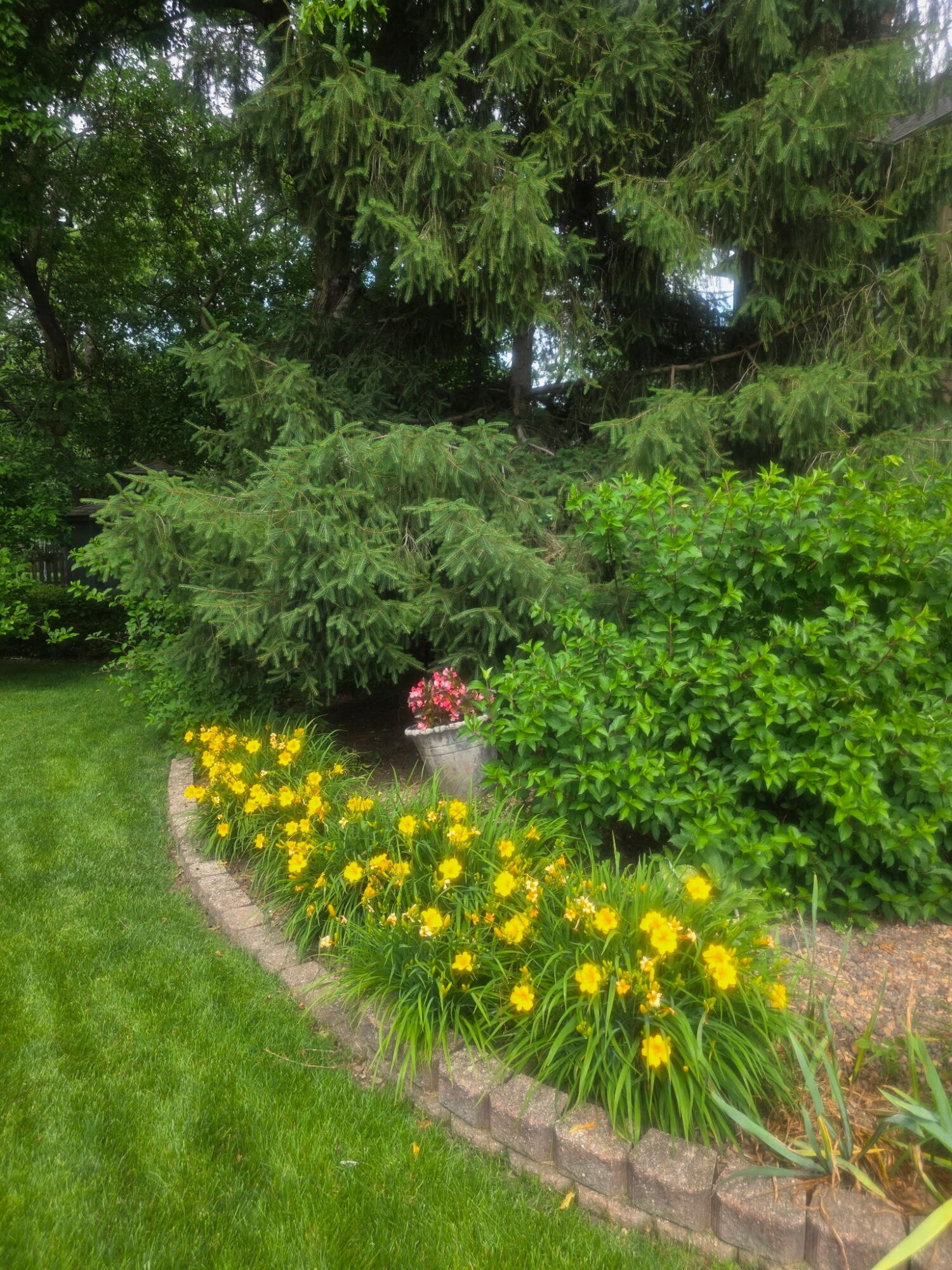 7412 Forest Ridge Drive, Schererville, IN 46375; Image #55