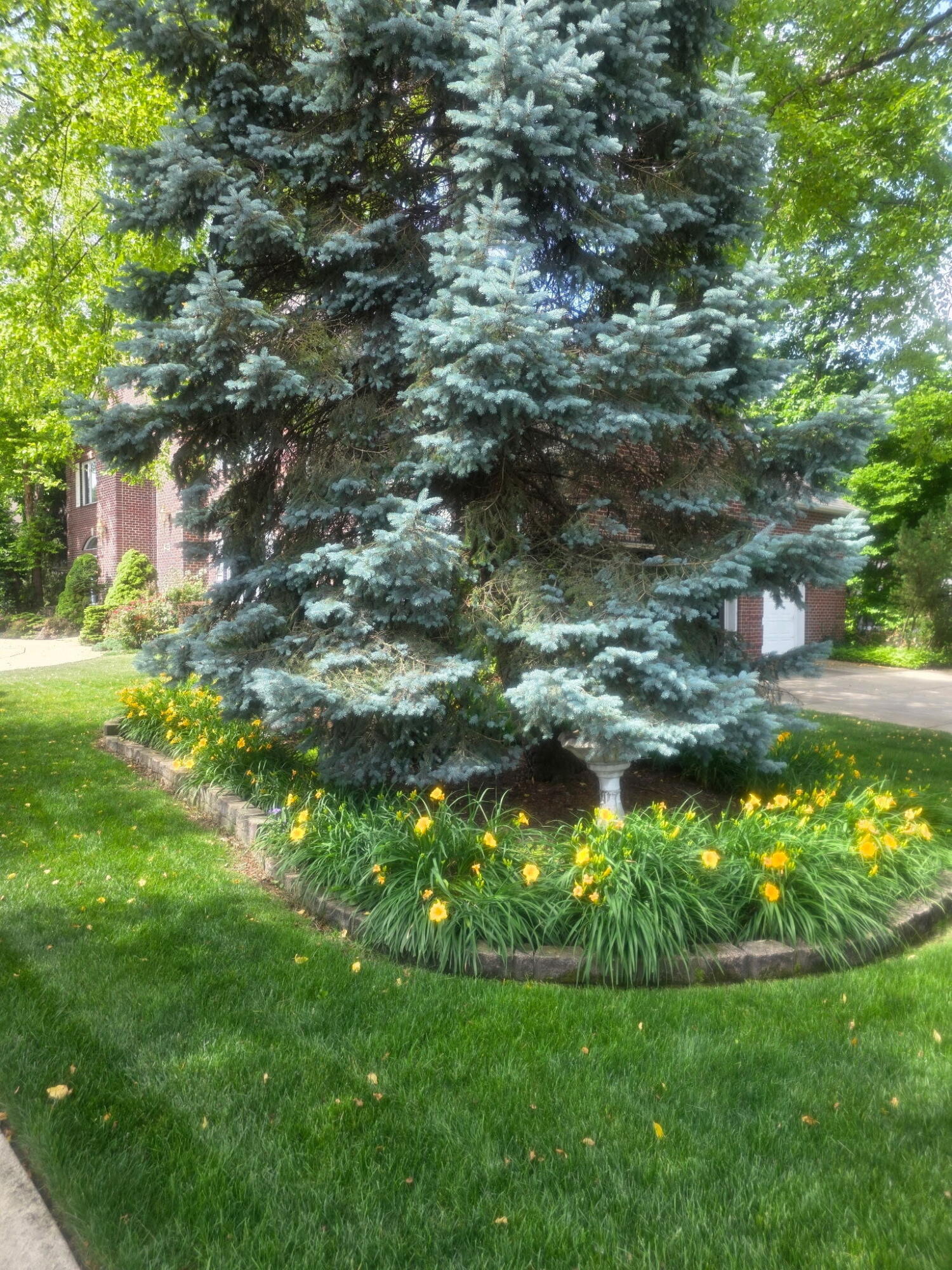 7412 Forest Ridge Drive, Schererville, IN 46375; Image #56