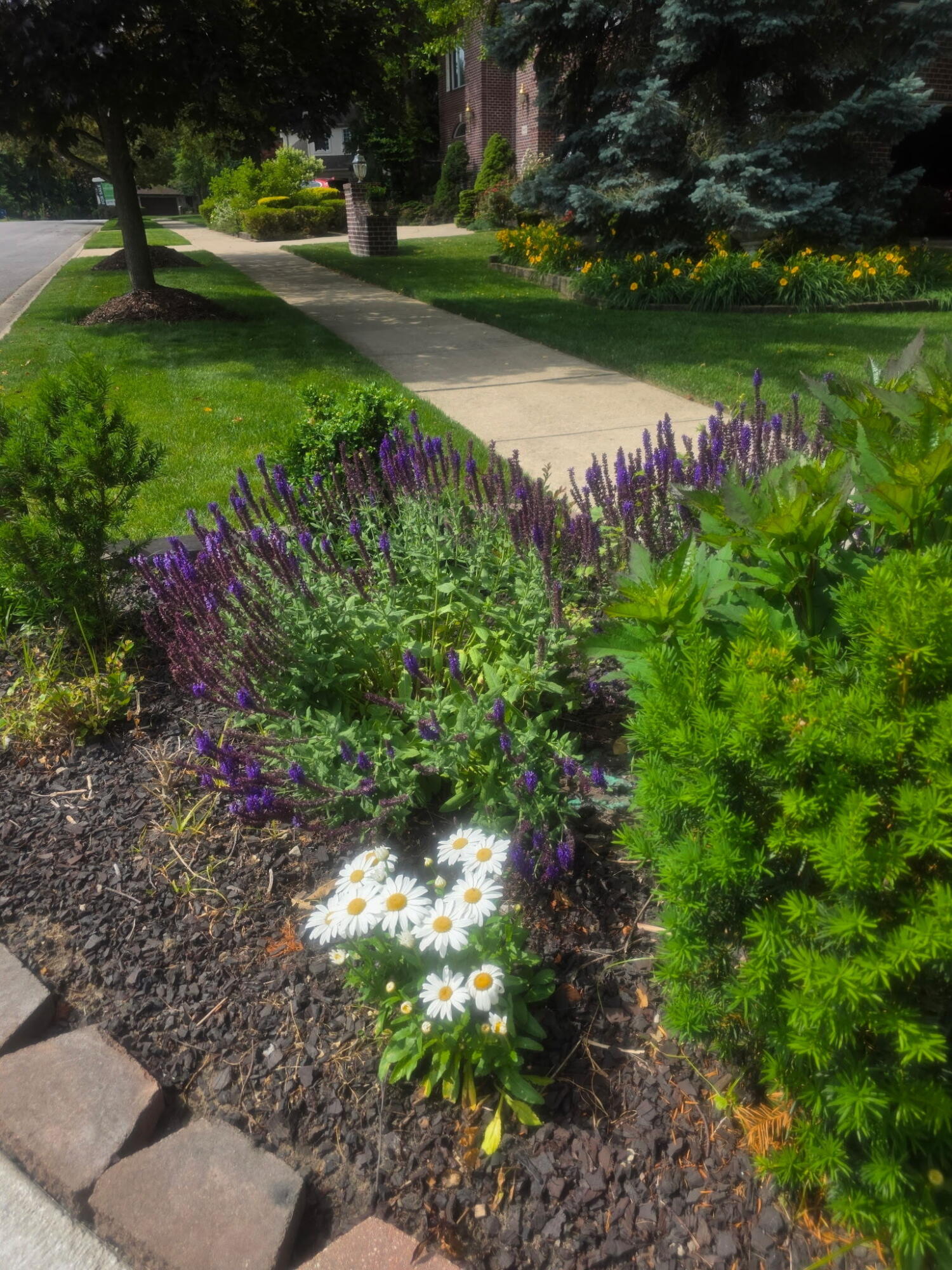 7412 Forest Ridge Drive, Schererville, IN 46375; Image #58