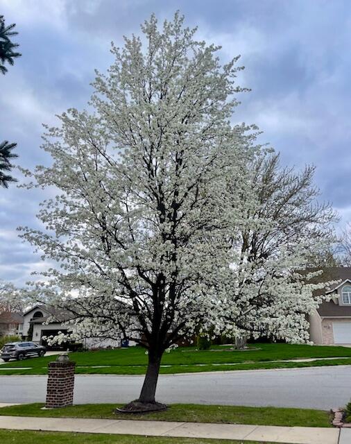 7412 Forest Ridge Drive, Schererville, IN 46375; Image #65
