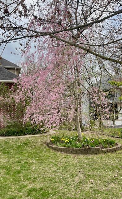 7412 Forest Ridge Drive, Schererville, IN 46375; Image #66