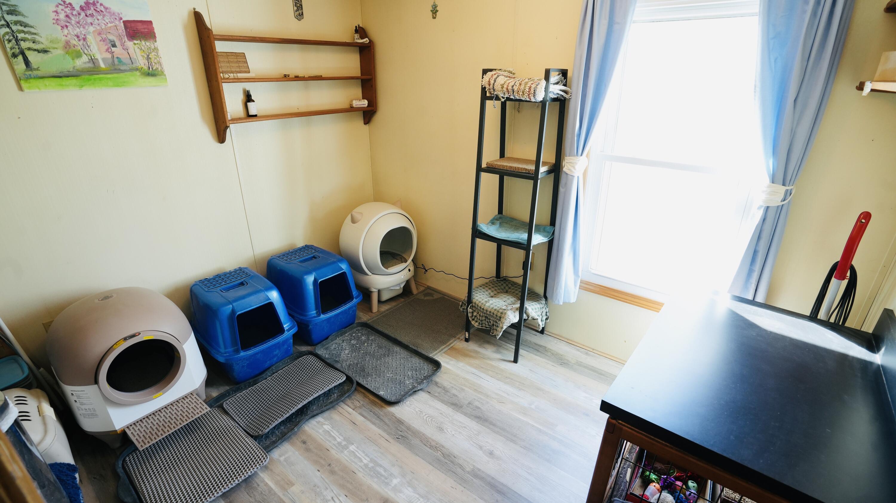511 W Vine Street, North Judson, IN 46366; Image #11