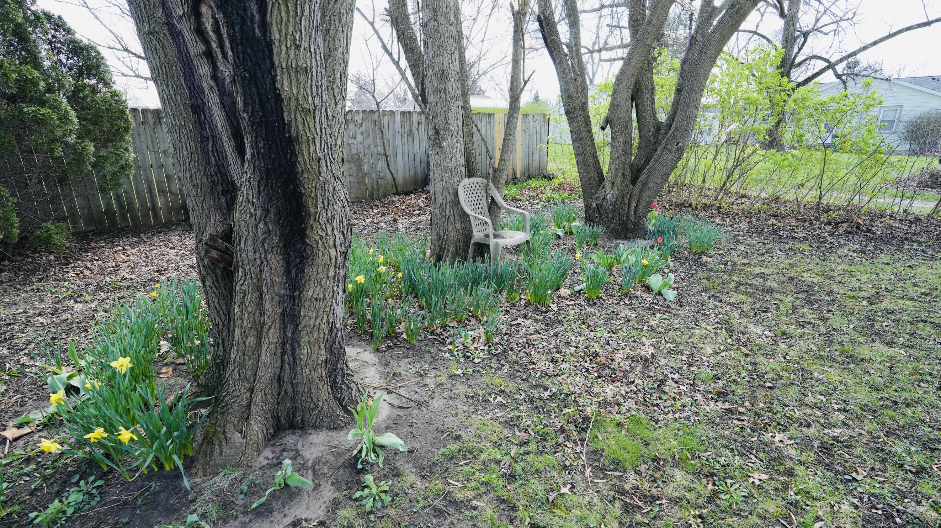 511 W Vine Street, North Judson, IN 46366; Image #19