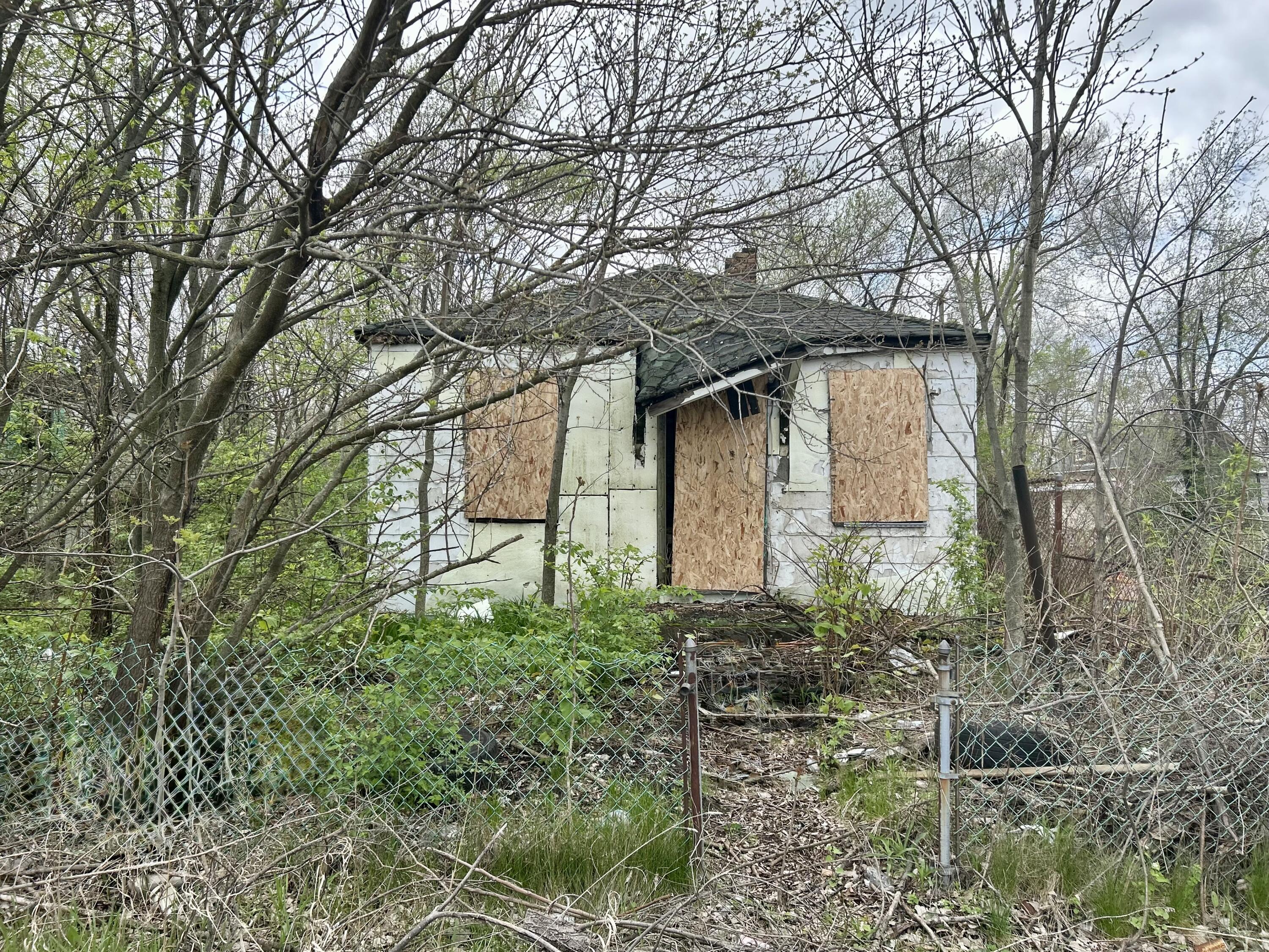Prev Image