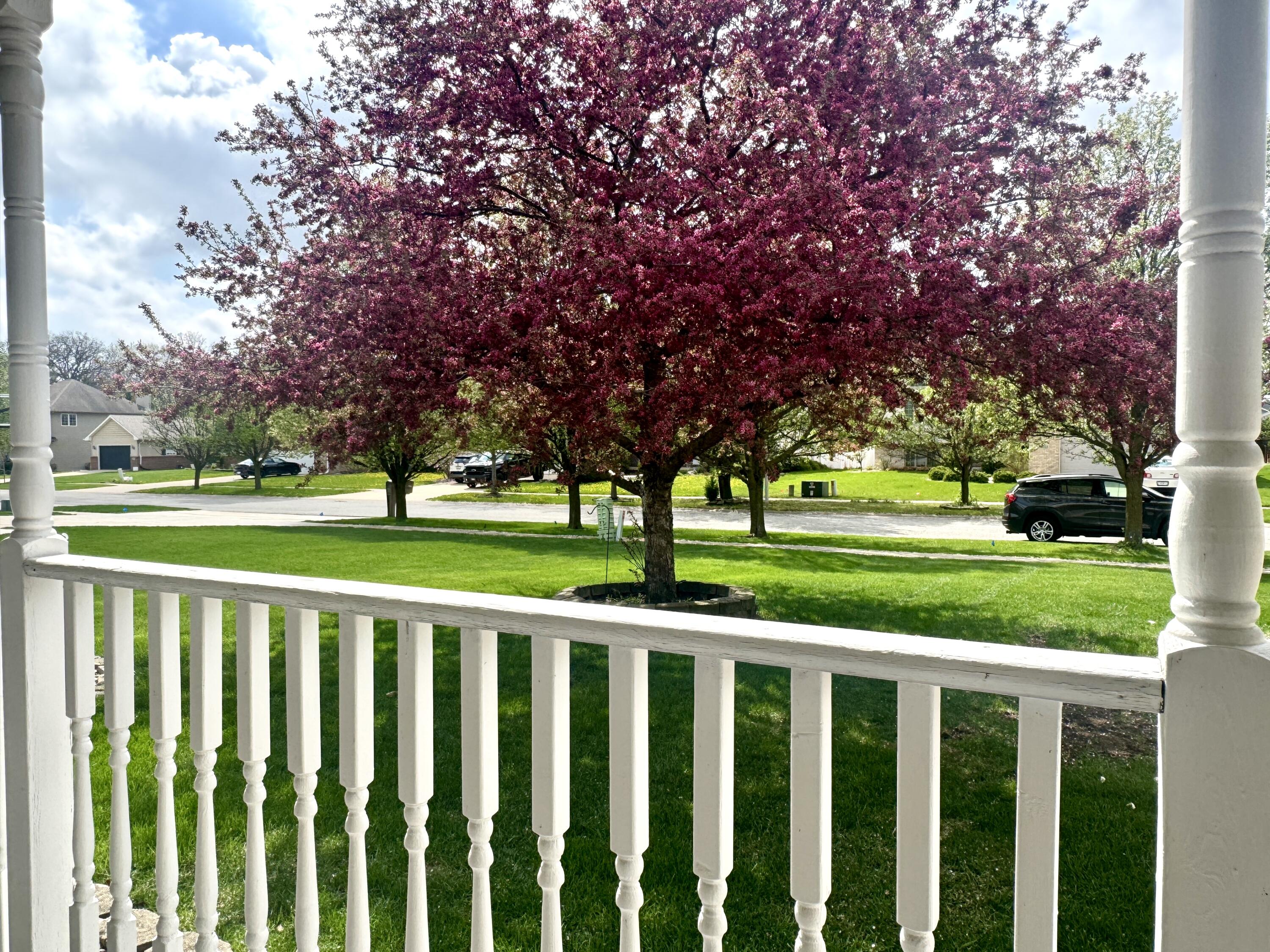 9519 Henry Street, Dyer, IN 46311; Image #4