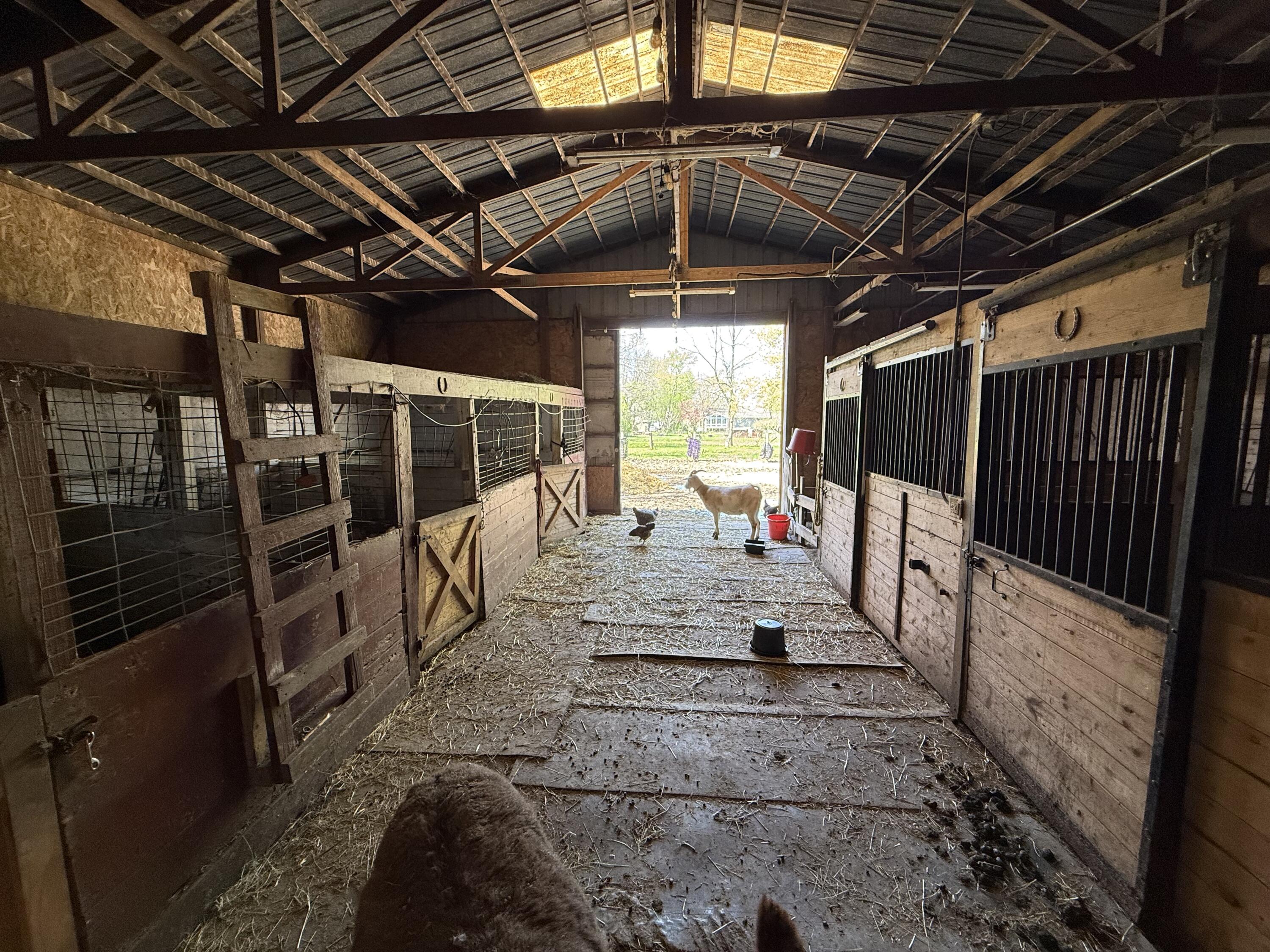 665 N 700 W, Hobart, IN 46342; Image #33