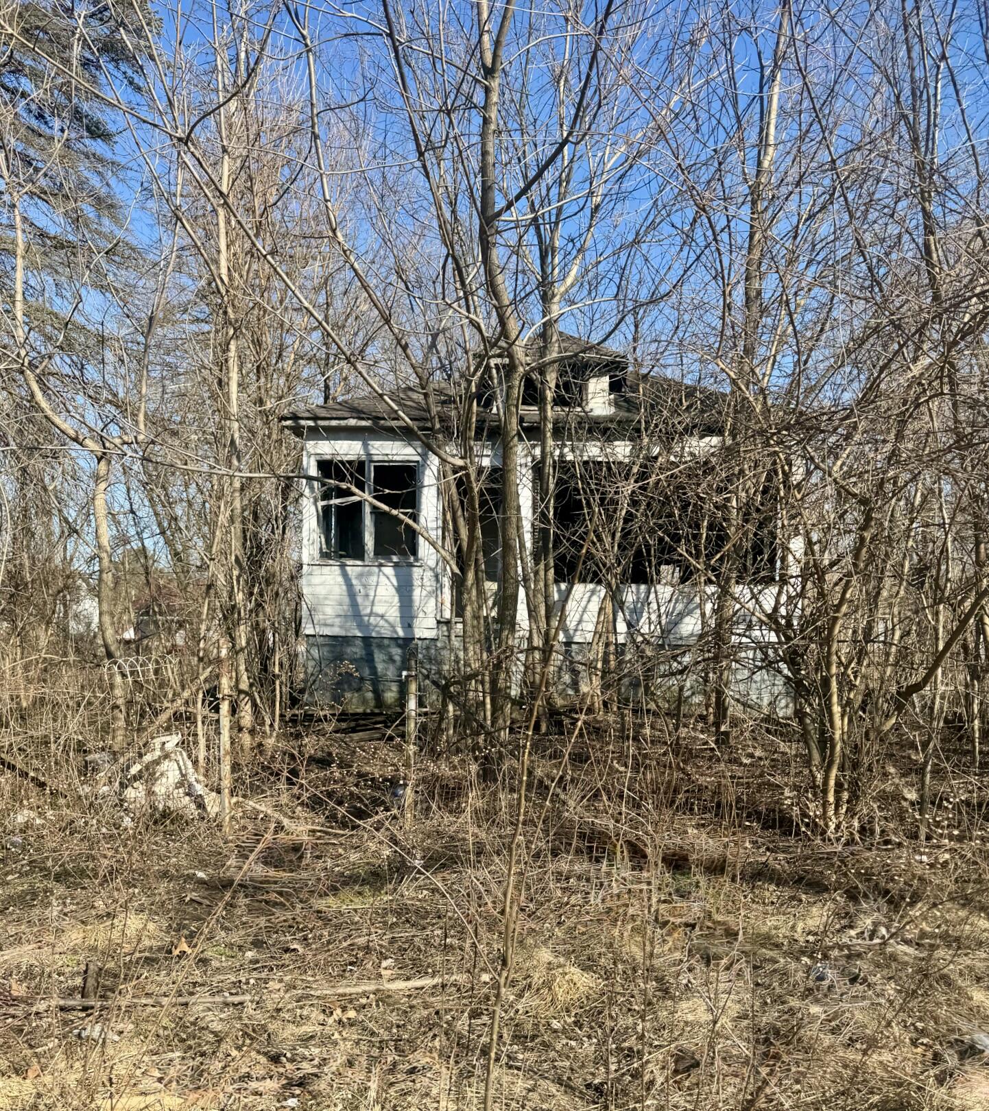 Prev Image