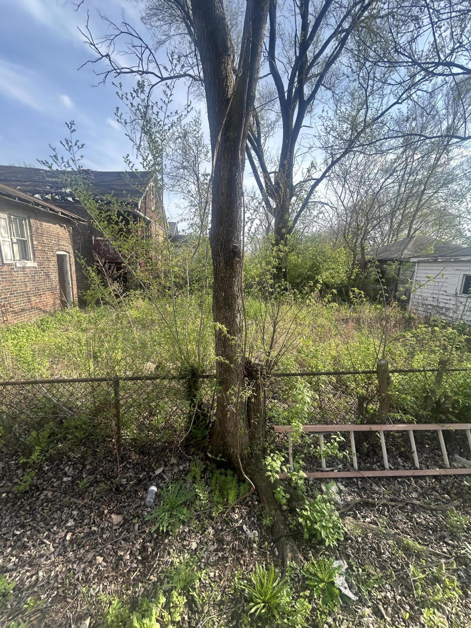 1168 Harrison Street, Gary, IN 46407; Image #2