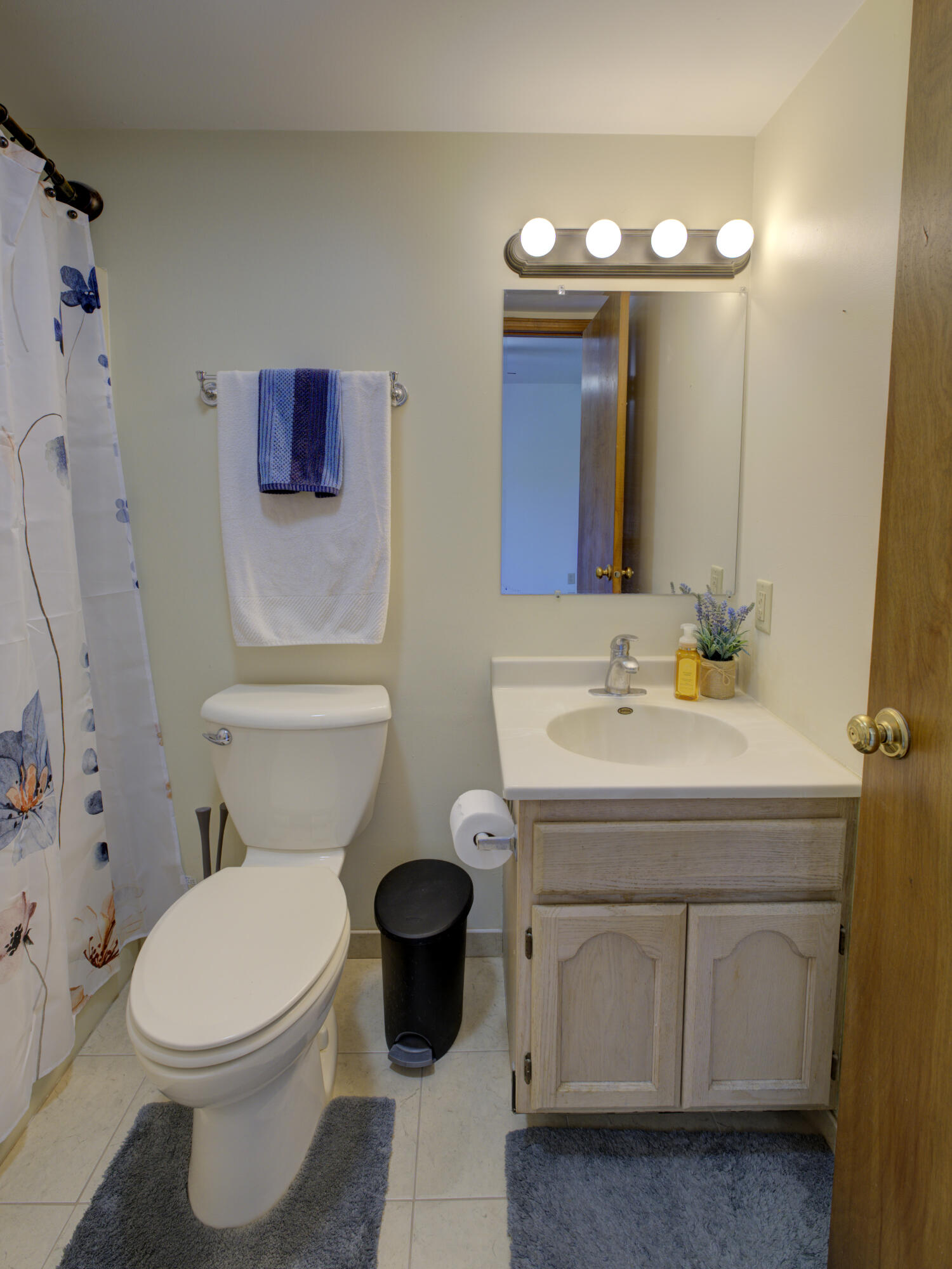 3602 Timberbridge Drive, Valparaiso, IN 46383; Image #17