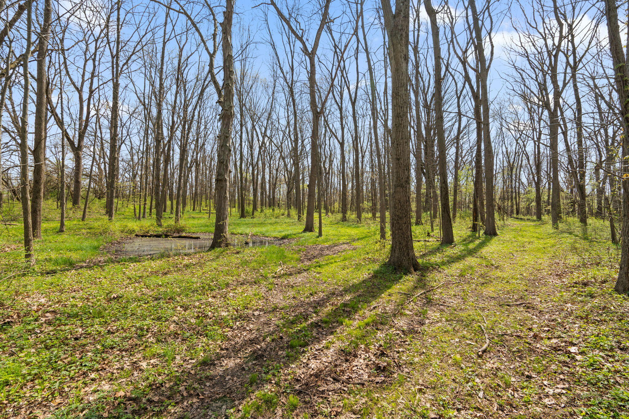 8 Smoke Road, Valparaiso, IN 46385; Image #56