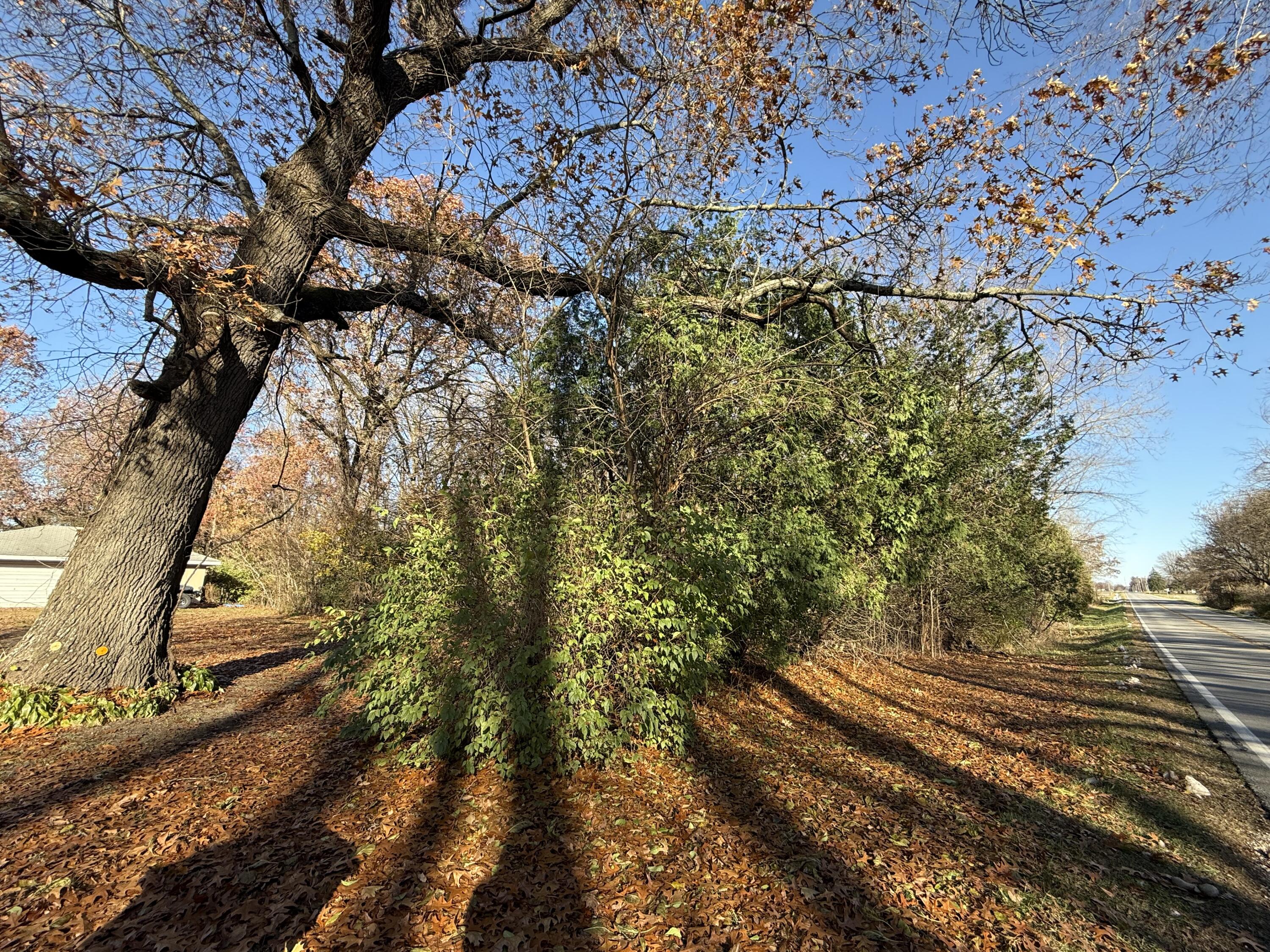 10140 E State Road 10, Culver, IN 46511; Image #16