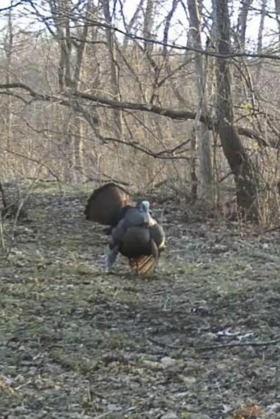 23551 In – 4, Lakeville, IN 46536; Image #46