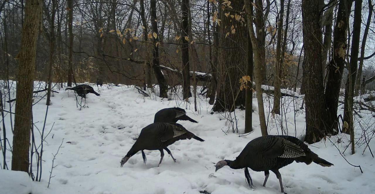 23551 In – 4, Lakeville, IN 46536; Image #47