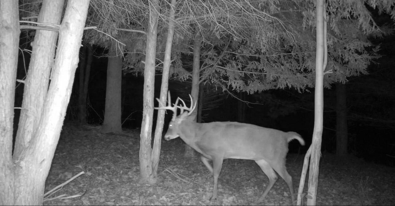 23551 In – 4, Lakeville, IN 46536; Image #49