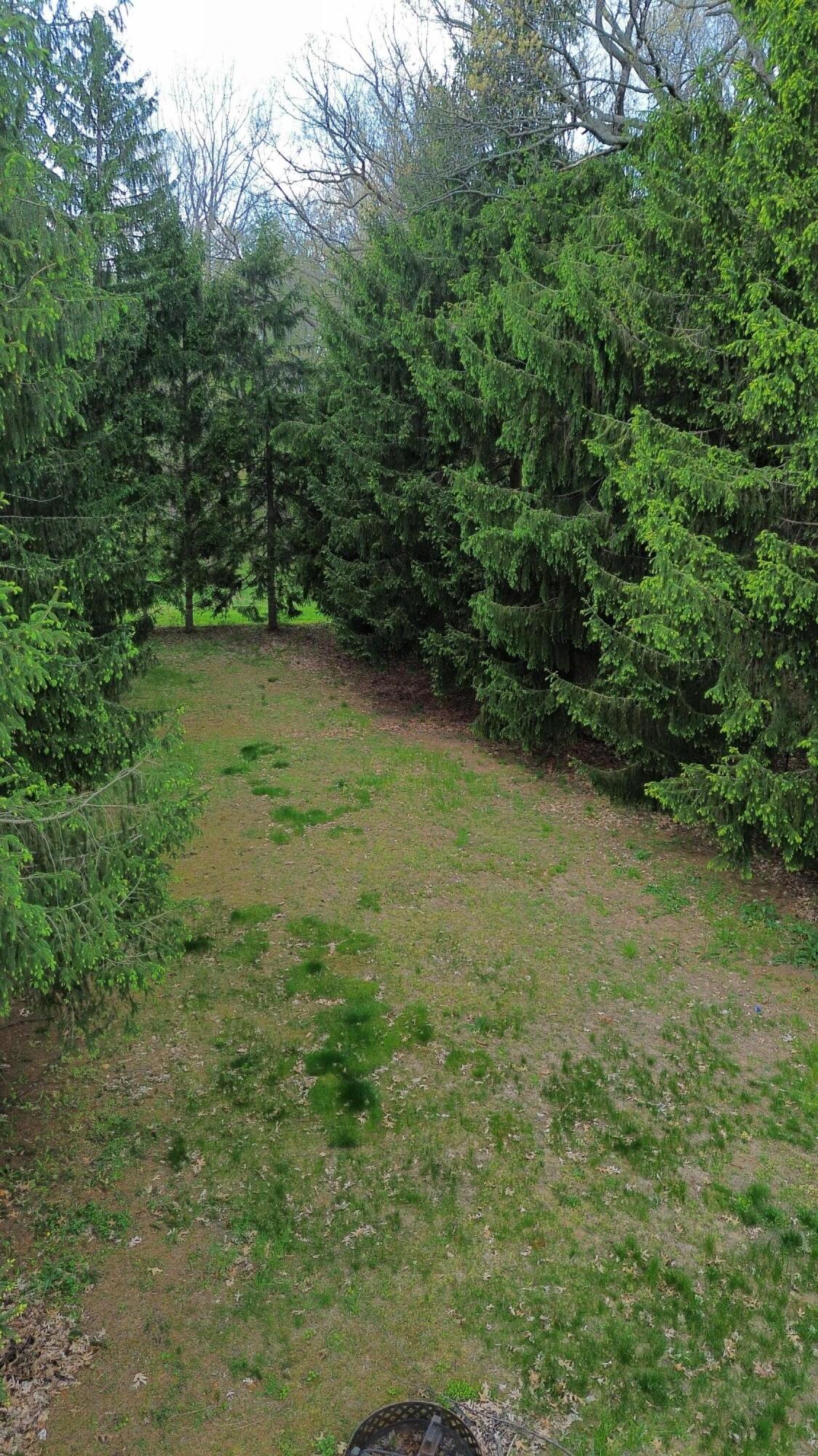 424 Yanke Road, Trail Creek, IN 46360; Image #31