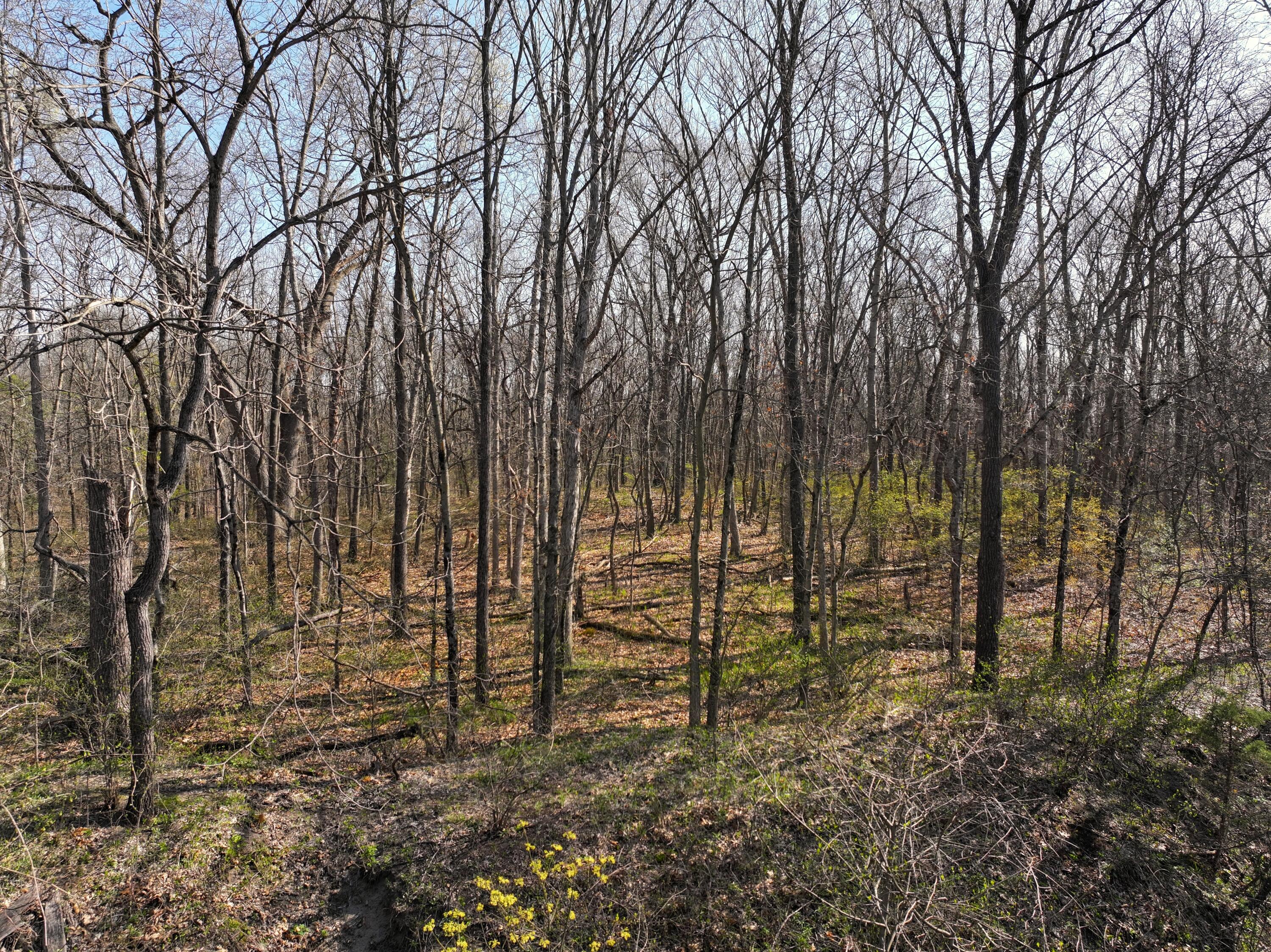 140 S 700 E, Knox, IN 46534; Image #12