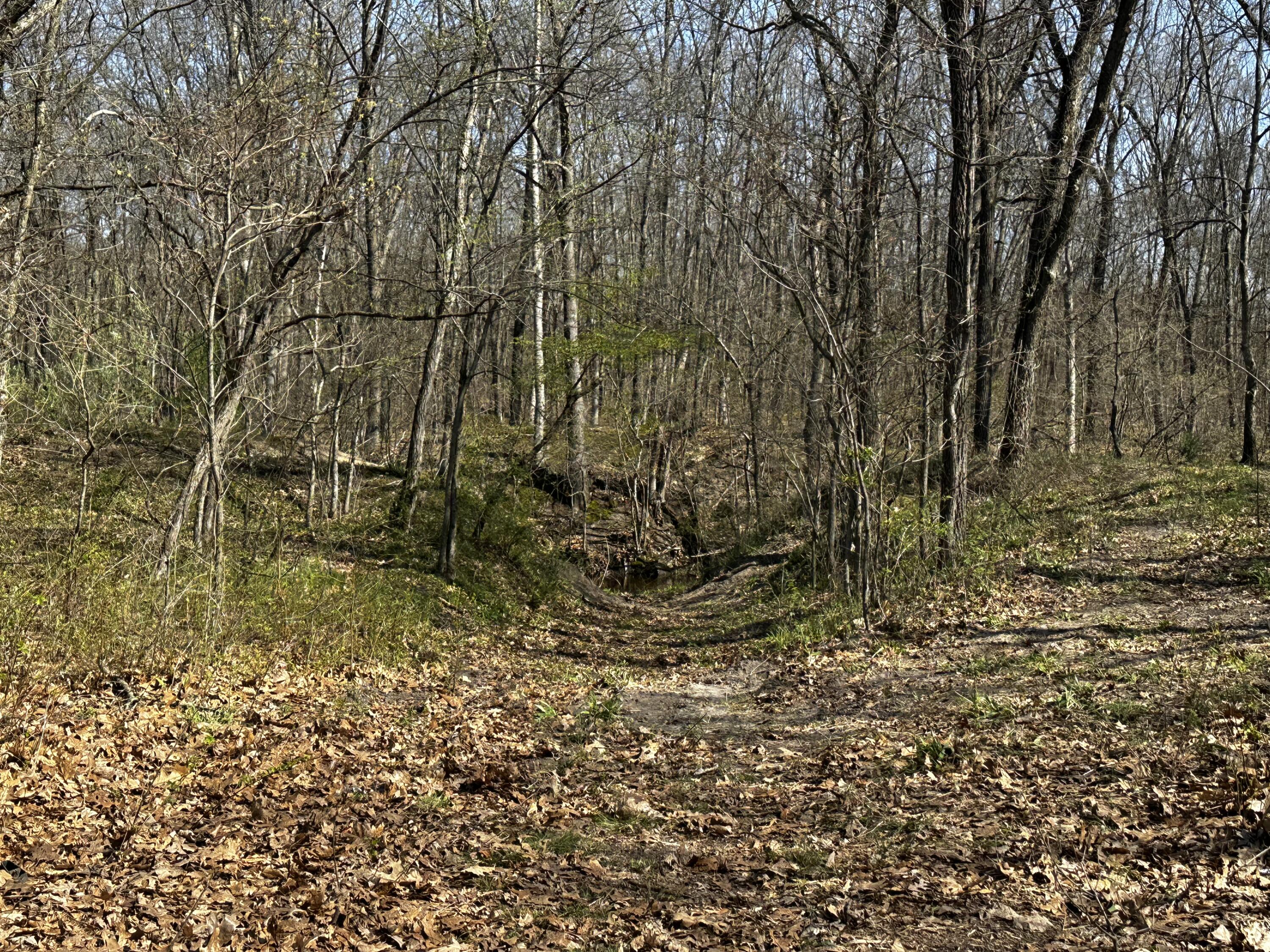 140 S 700 E, Knox, IN 46534; Image #14