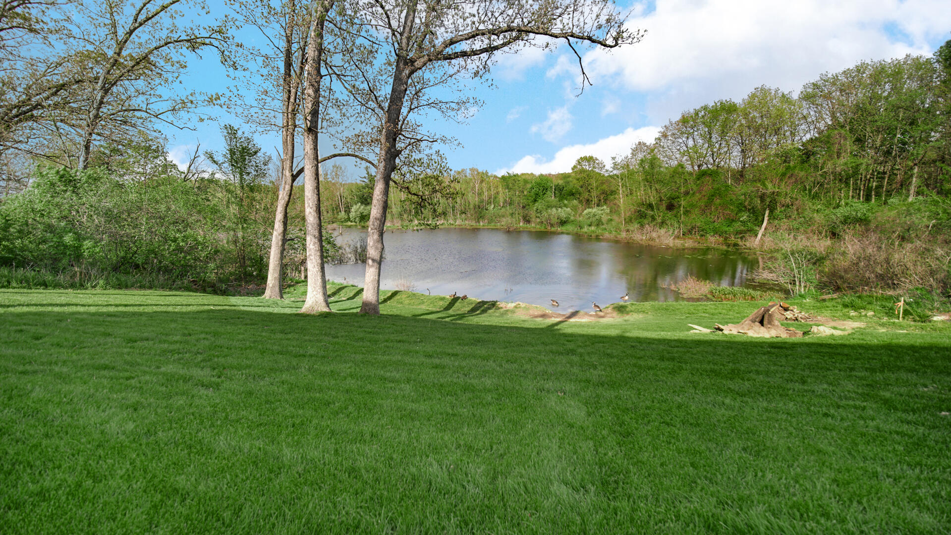 12871 Baker Court, Crown Point, IN 46307; Image #45