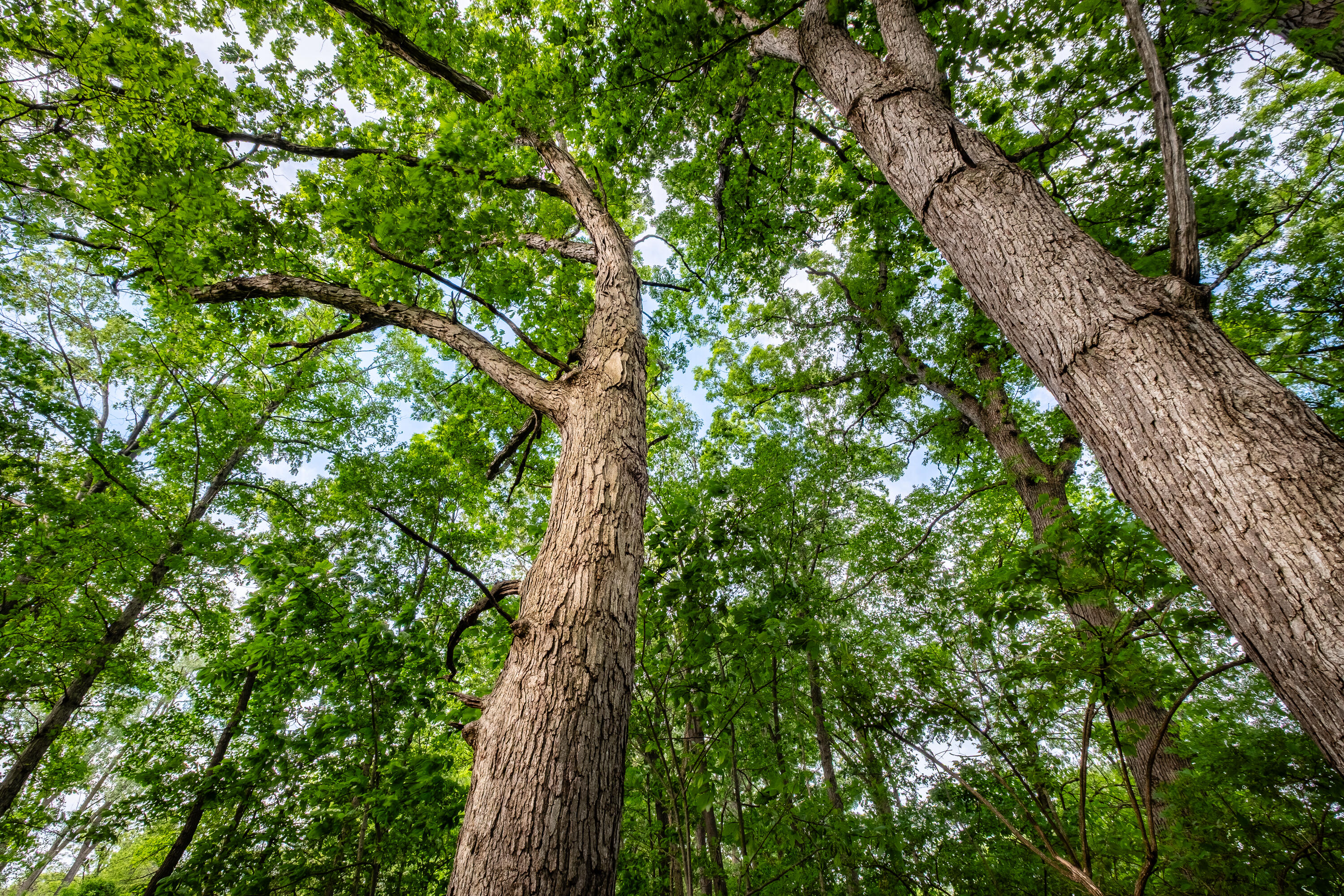 220 Robbins Road, Valparaiso, IN 46385; Image #11