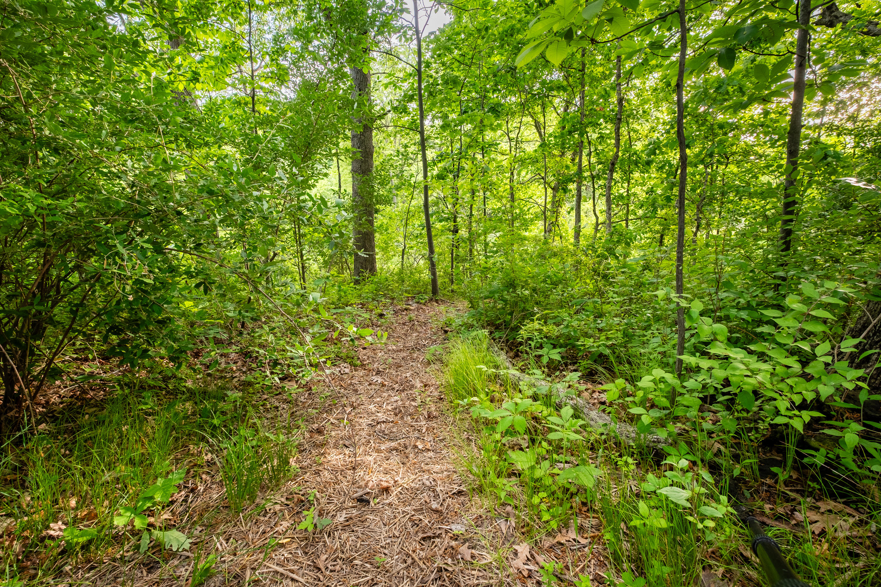220 Robbins Road, Valparaiso, IN 46385; Image #12