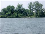 1610 Atchison Avenue, Whiting, IN 46394; Image #81