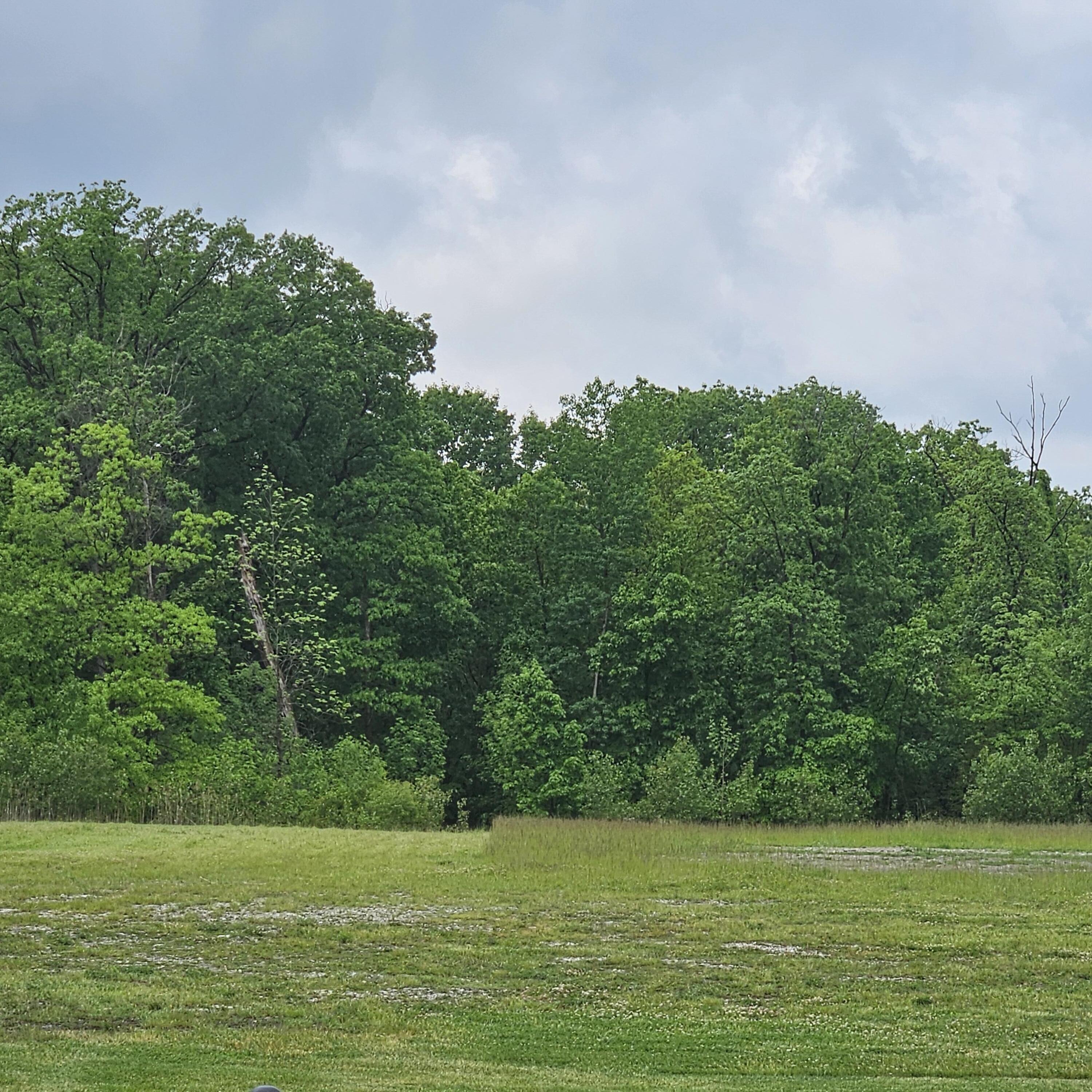11512 Parrish Avenue, Cedar Lake, IN 46303; Image #20
