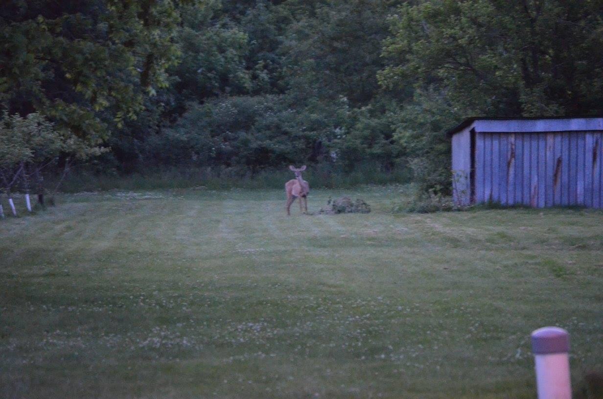 2554 E 400 N, Rensselaer, IN 47978; Image #48