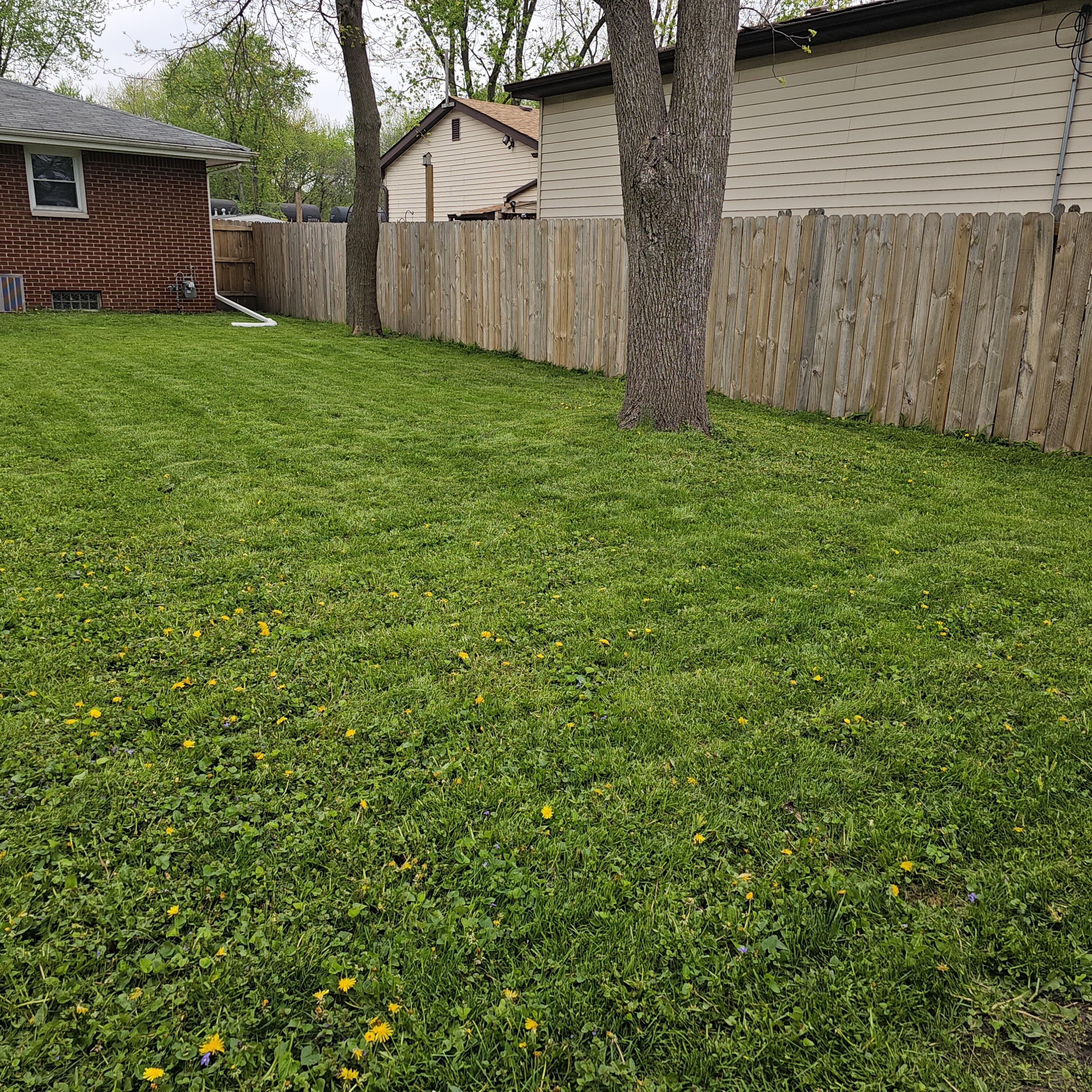 1123 N Wood Street, Griffith, IN 46319; Image #41