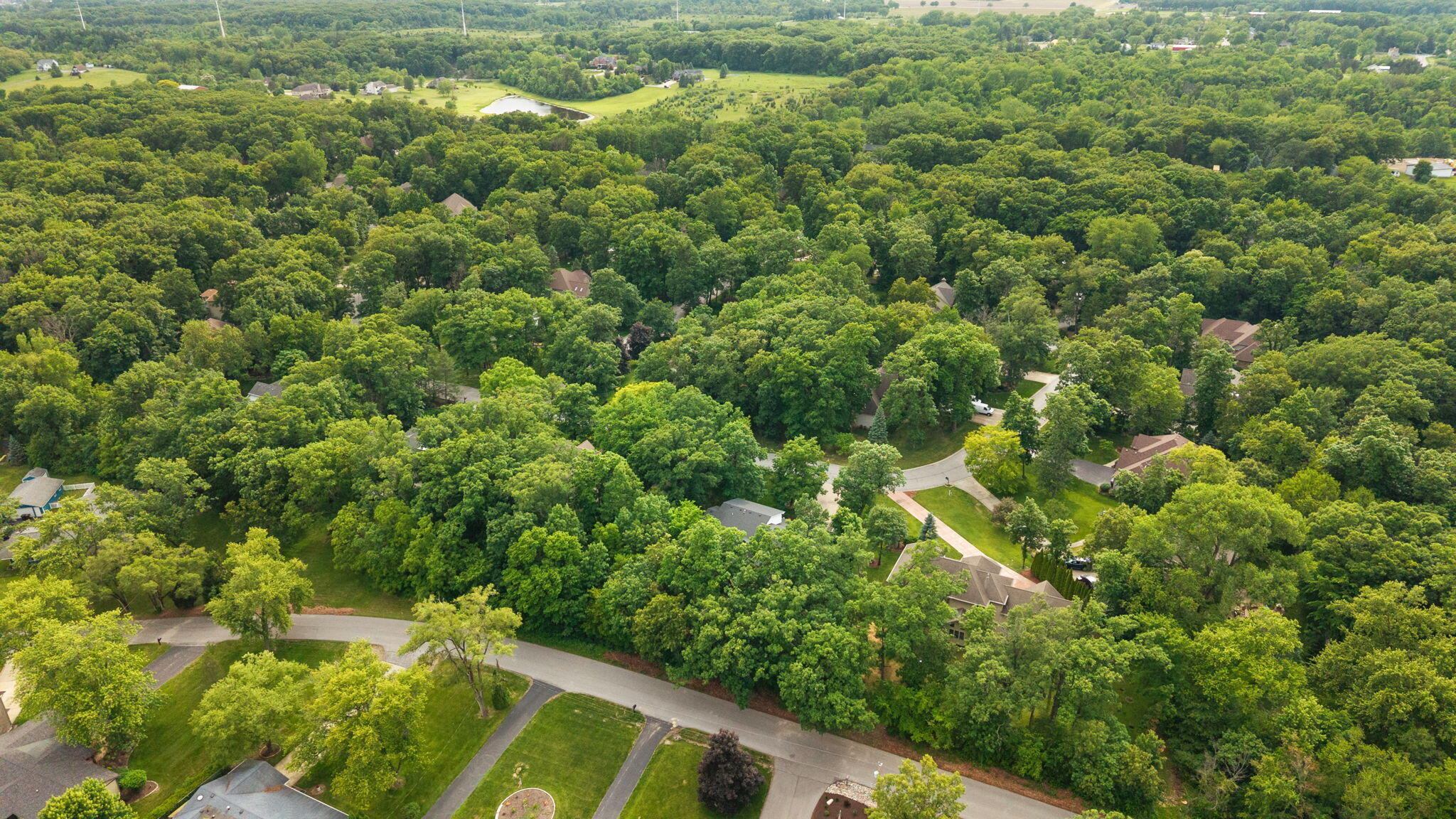 12227 S Williams Court, Crown Point, IN 46307; Image #57