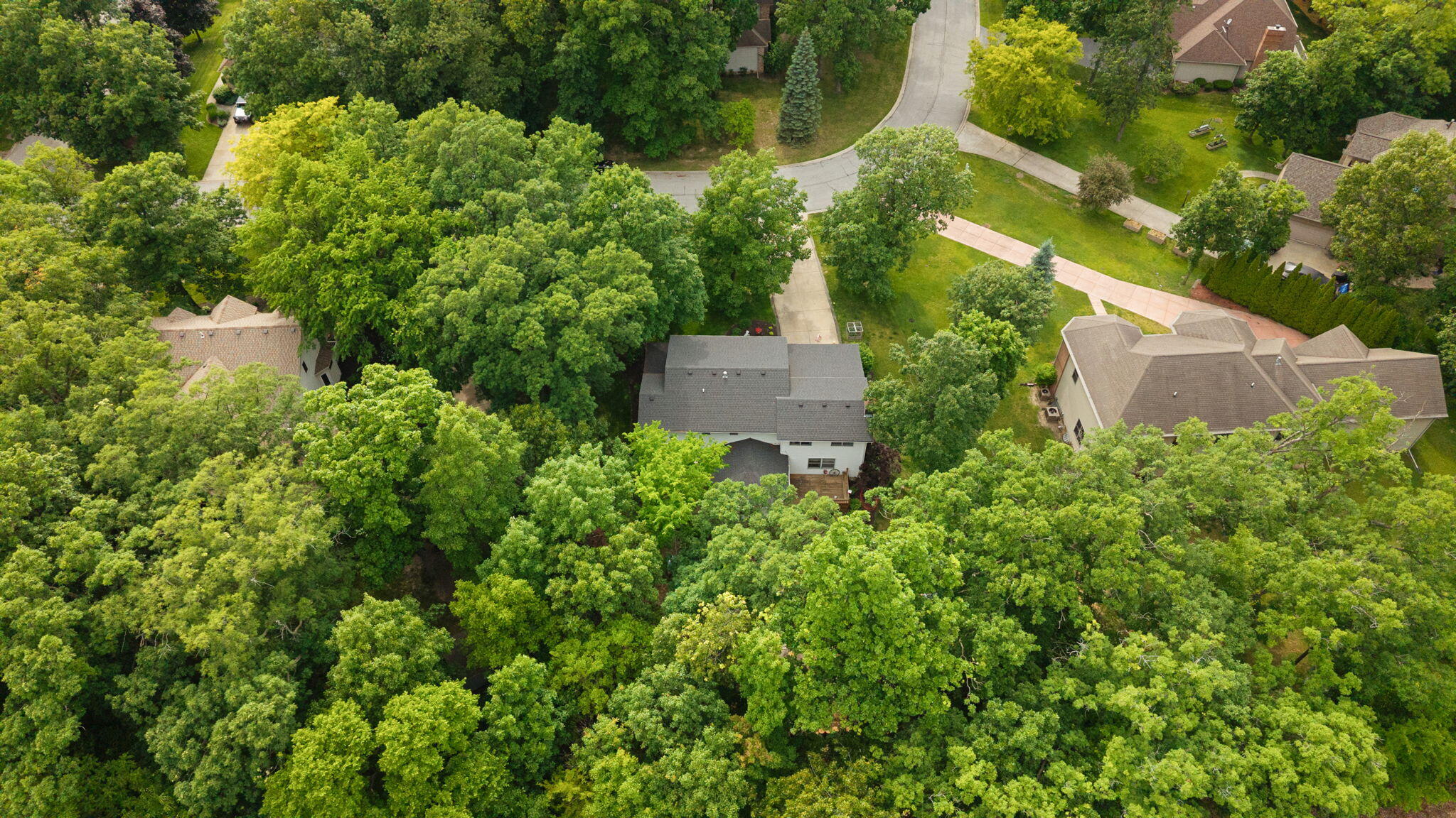 12227 S Williams Court, Crown Point, IN 46307; Image #59